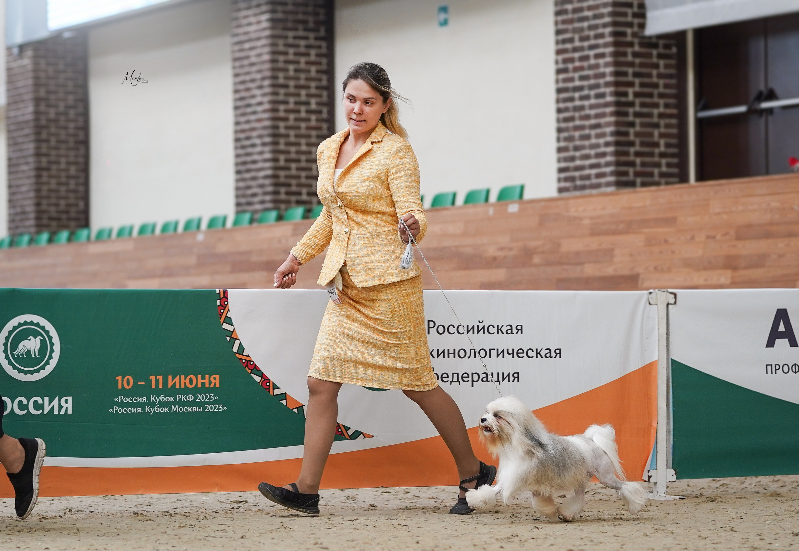 Выставки 2023. Фотограф-анималист в Санкт-Петербурге Яна Мартынова