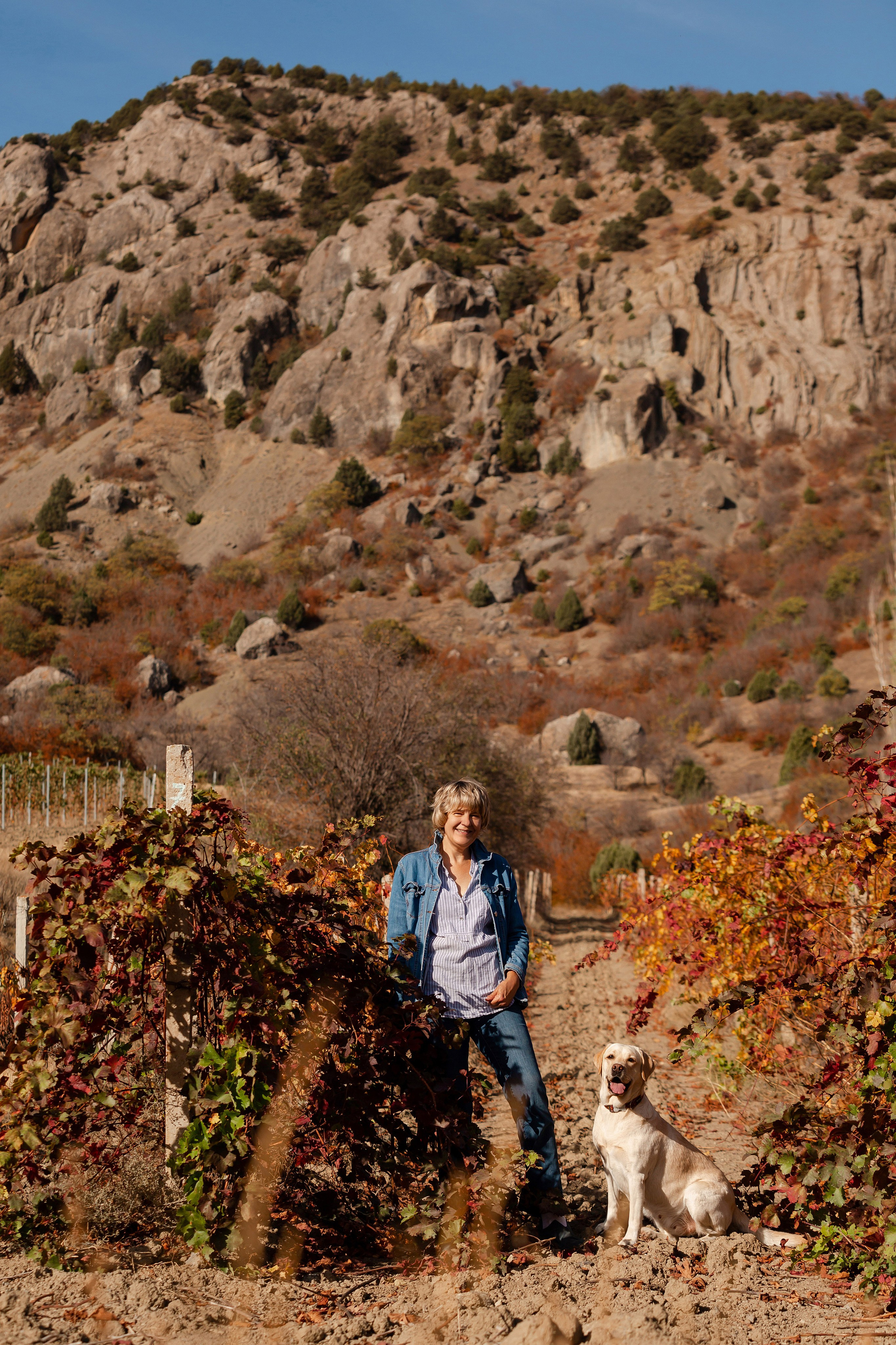 Лабрадоры и горы. Фотограф-анималист в Краснодаре Маша Мельникова