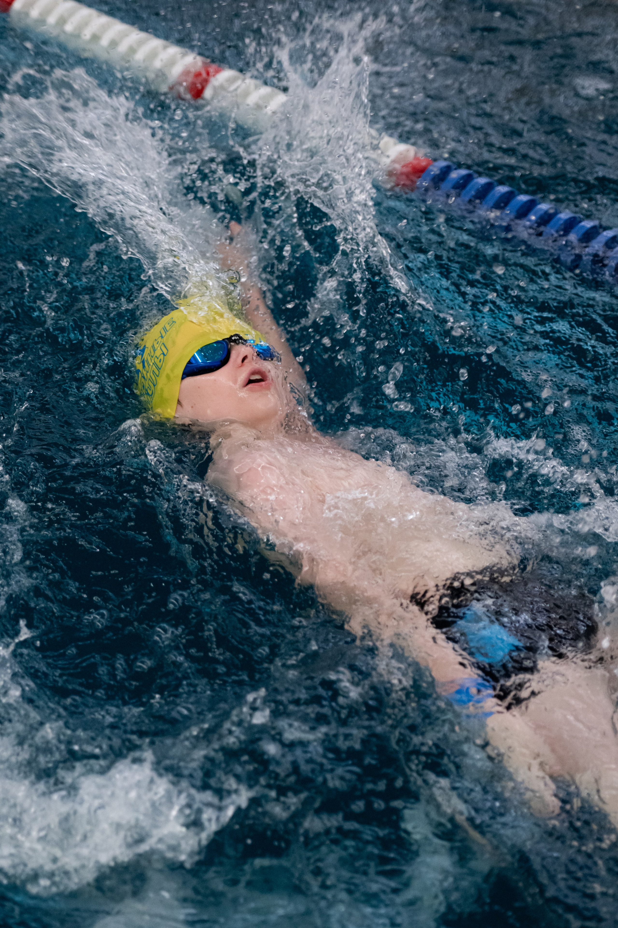 ЧЕМПИОНАТ ПО ПЛАВАНИЮ. ДИНА МИХНЕВА спортивный фотограф Москва