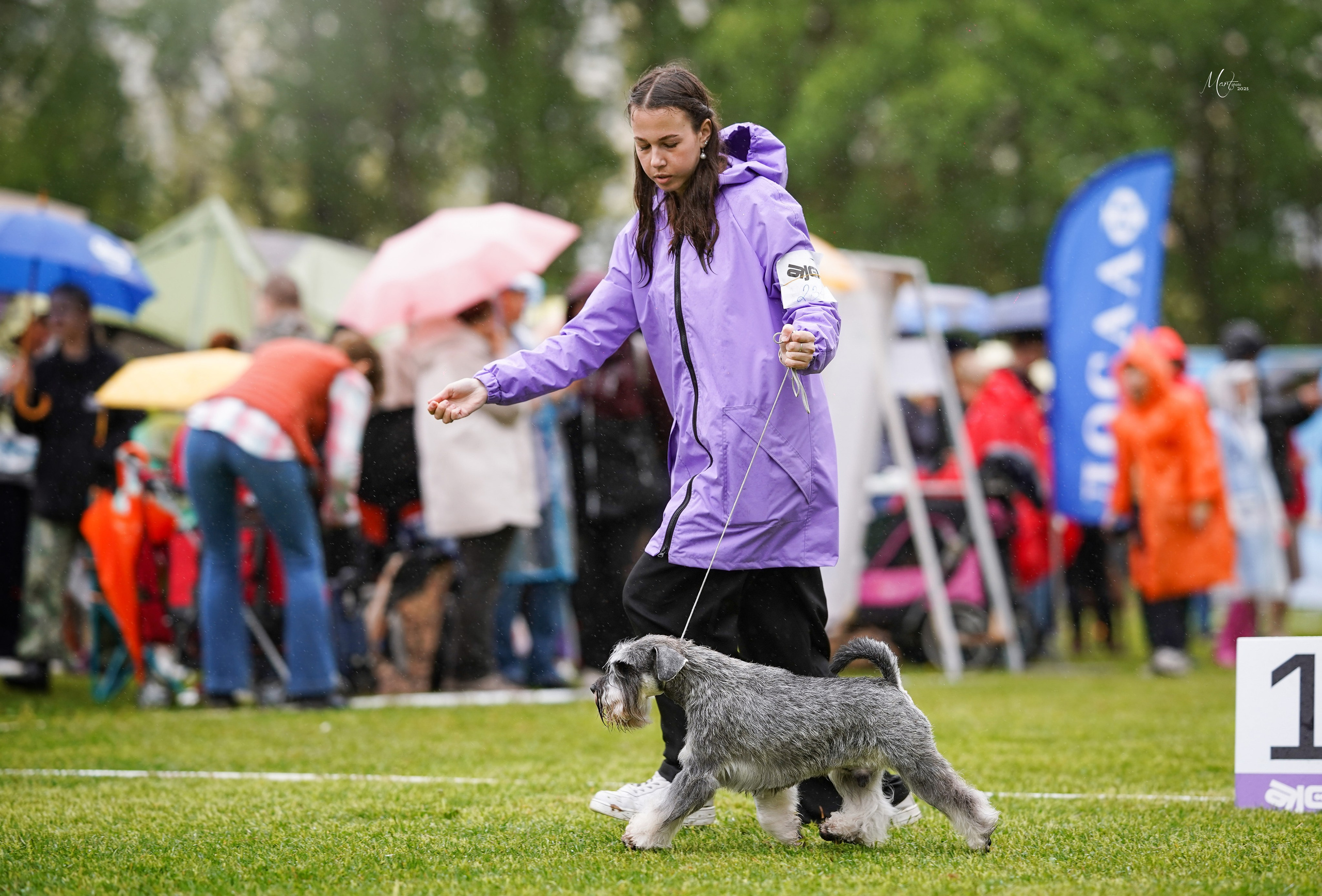 Выставки 2025. Фотограф-анималист в Санкт-Петербурге Яна Мартынова