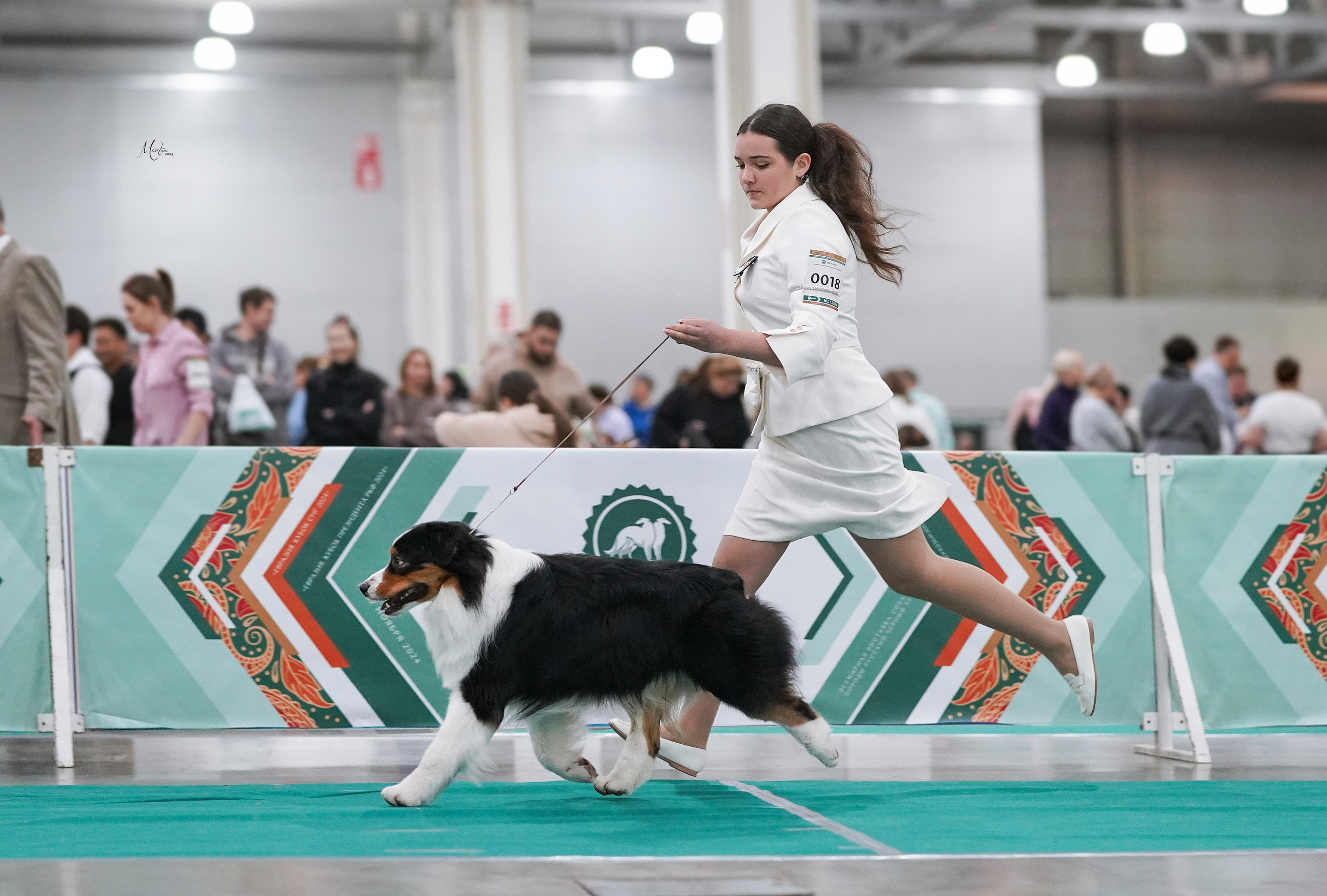 Выставки 2024. Фотограф-анималист в Санкт-Петербурге Яна Мартынова