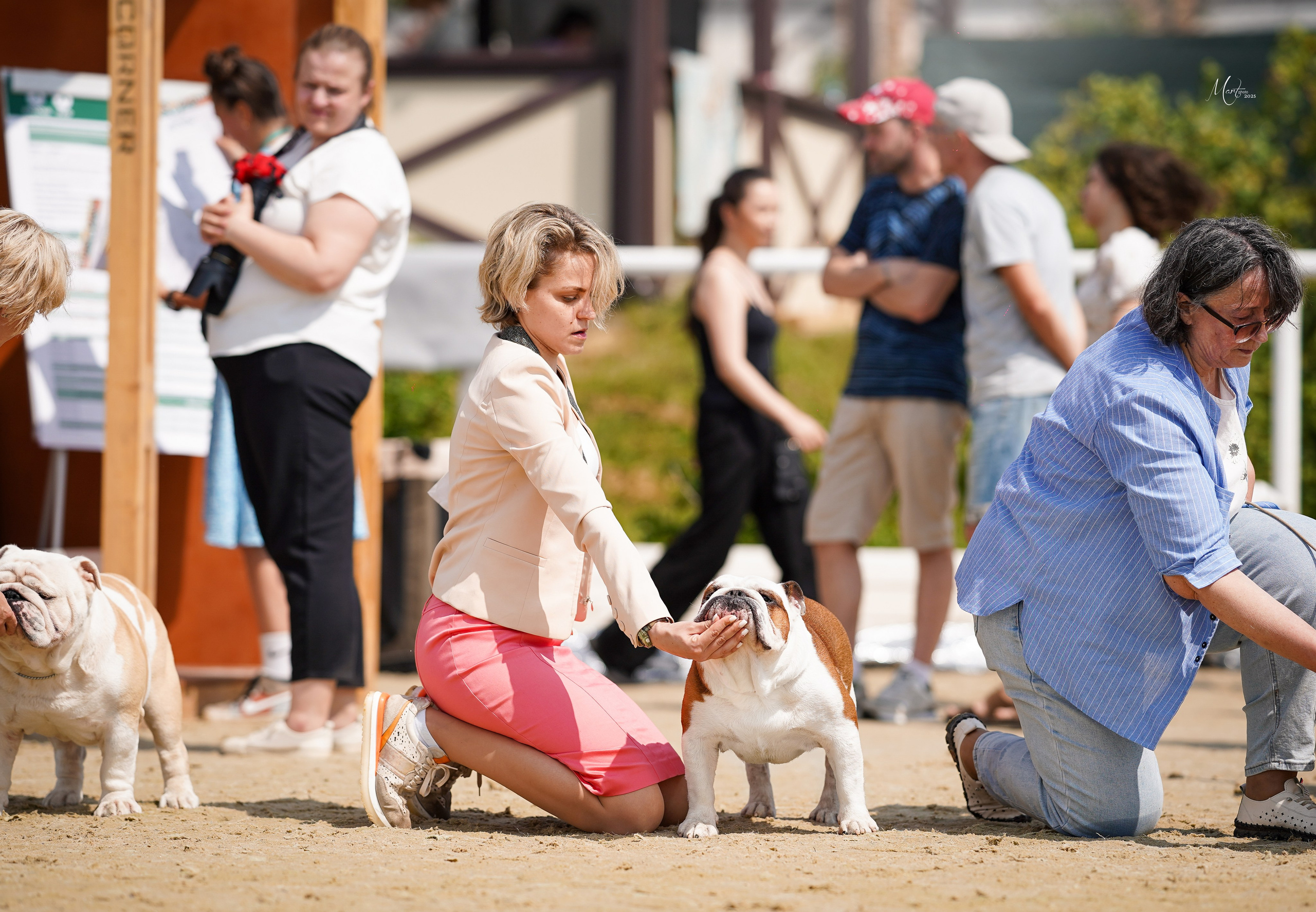 Выставки 2025. Фотограф-анималист в Санкт-Петербурге Яна Мартынова