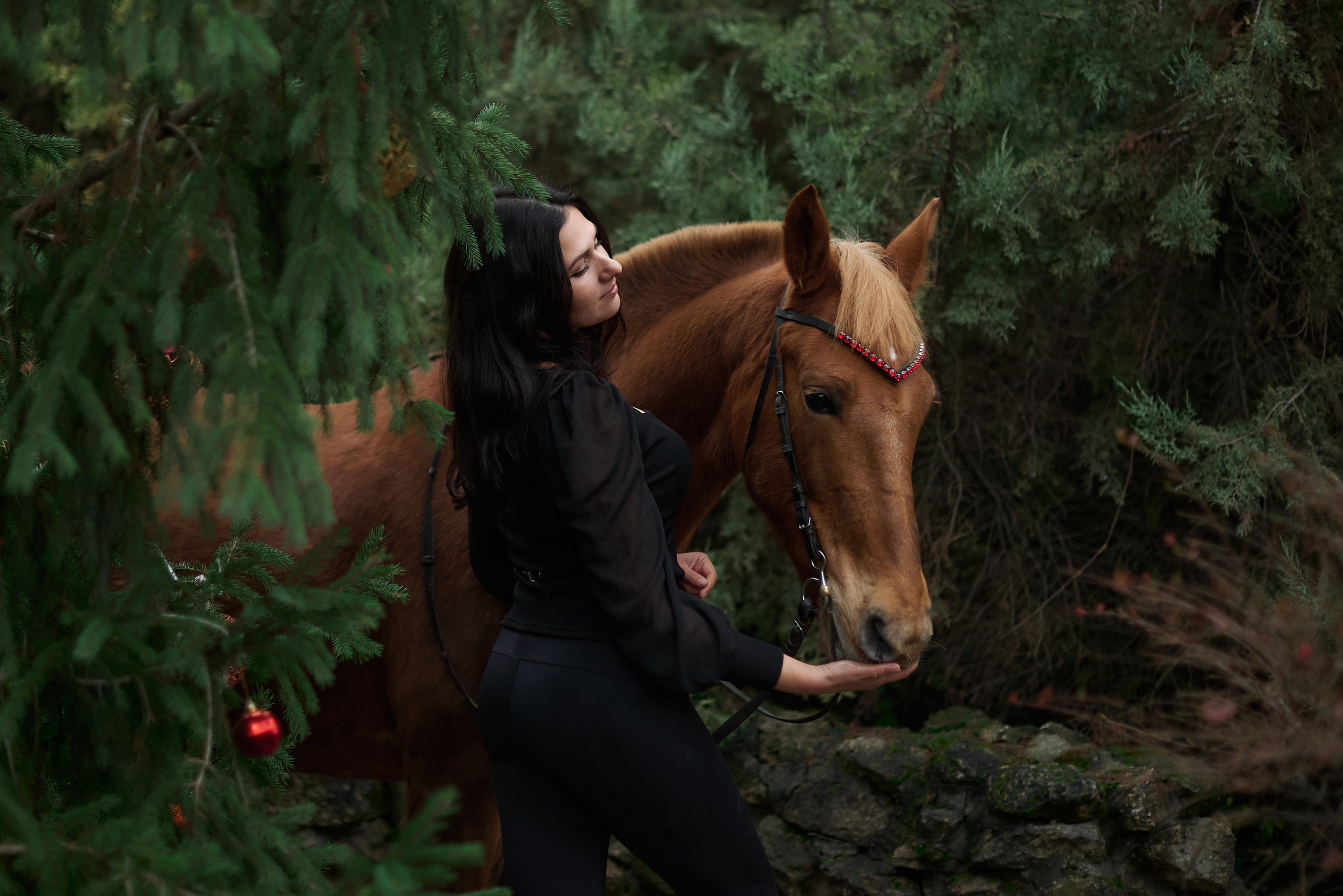 Диана, Гром и Мандаринка. Фотограф в Севастополе