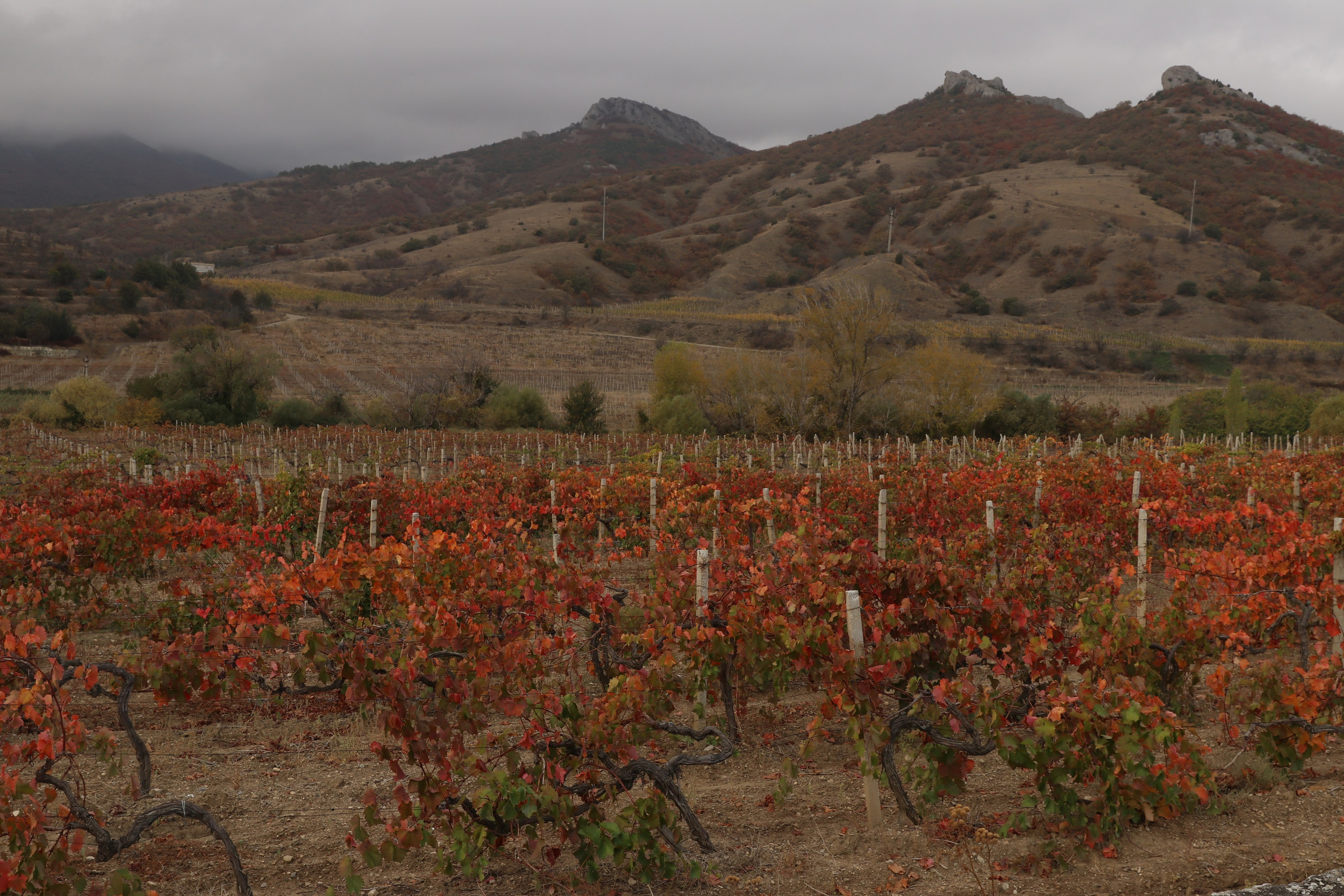 Крым. ЮБК (Гурзуф, Судак и их окрестности). Ноябрь 2023. Путешественник-фотограф из Санкт-Петербурга Татьяна Свистулина