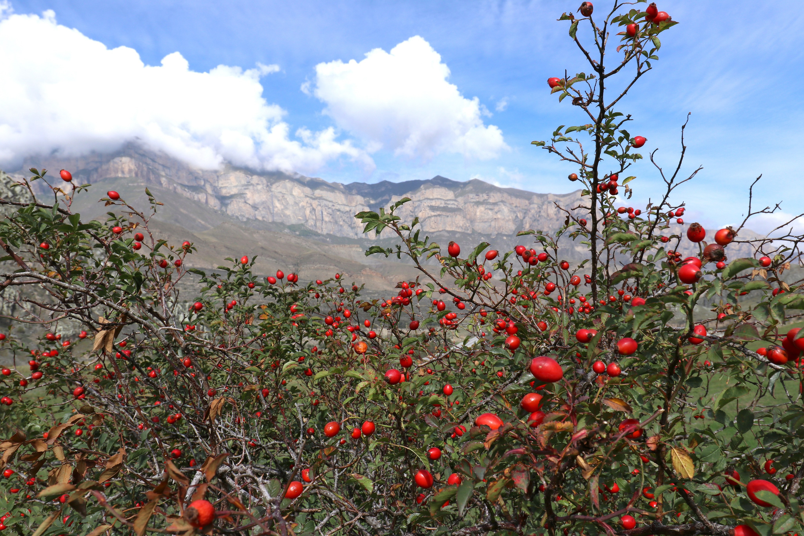 Приэльбрусье. Сентябрь 2024. Путешественник-фотограф из Санкт-Петербурга Татьяна Свистулина