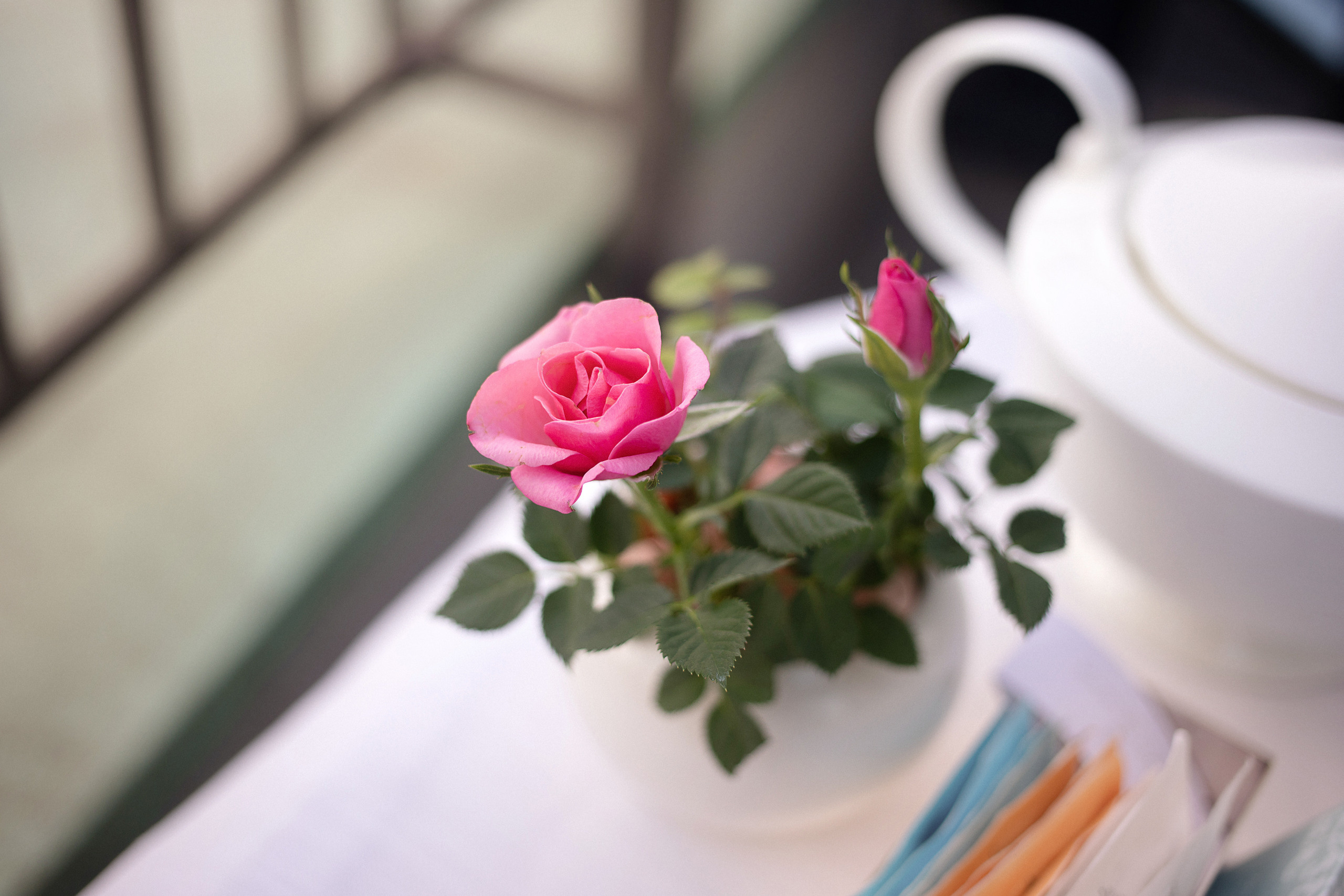 Фотосессия в центре СанктПетербурга. Детский и семейный фотограф Муксимова Ирина