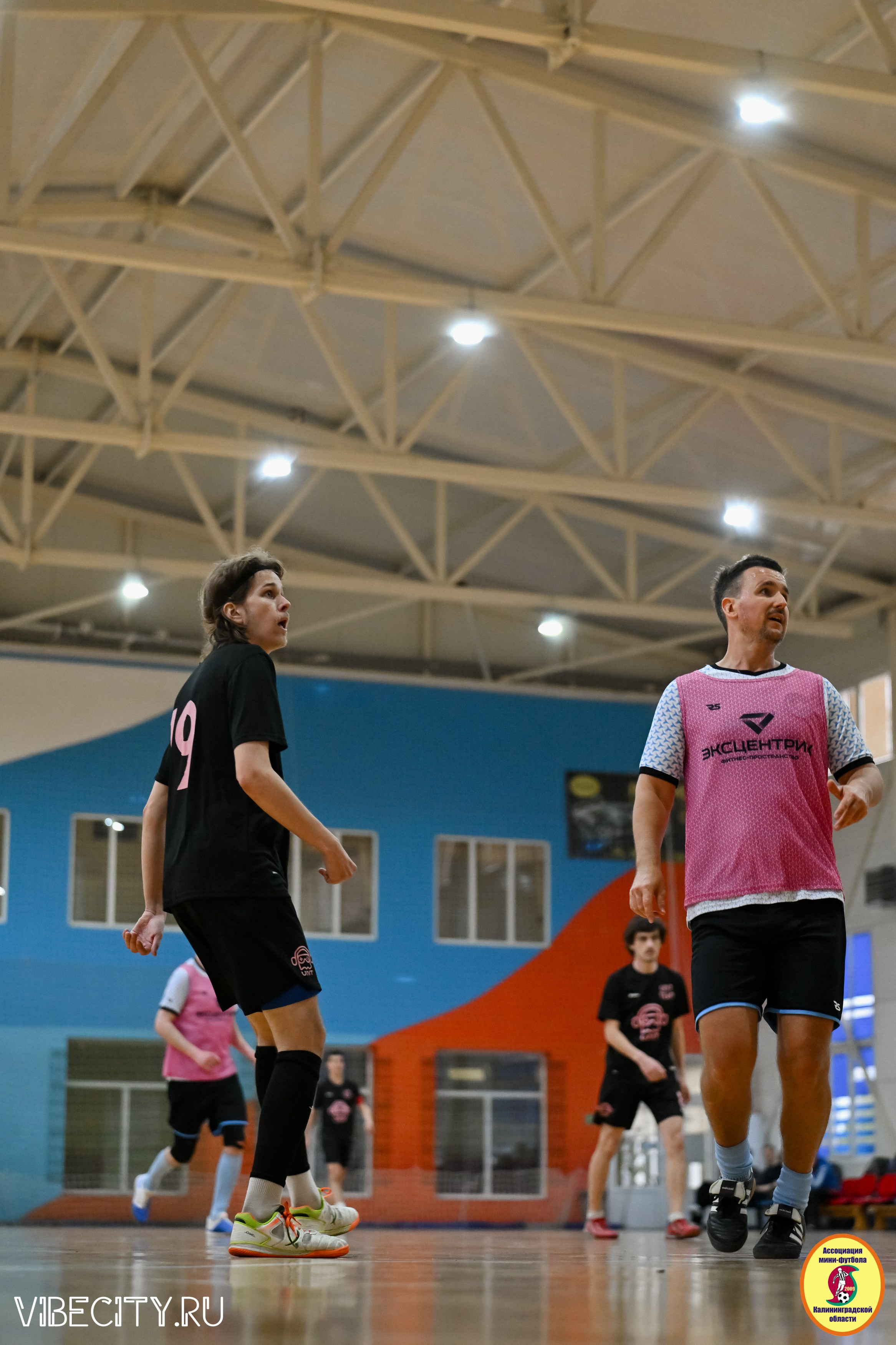 8 тур Корпоративной Бизнес-Лиги по футзалу. VIBECITY.RU Вайб Сити Ру Фоторепортажи Фотоотчеты Калининград