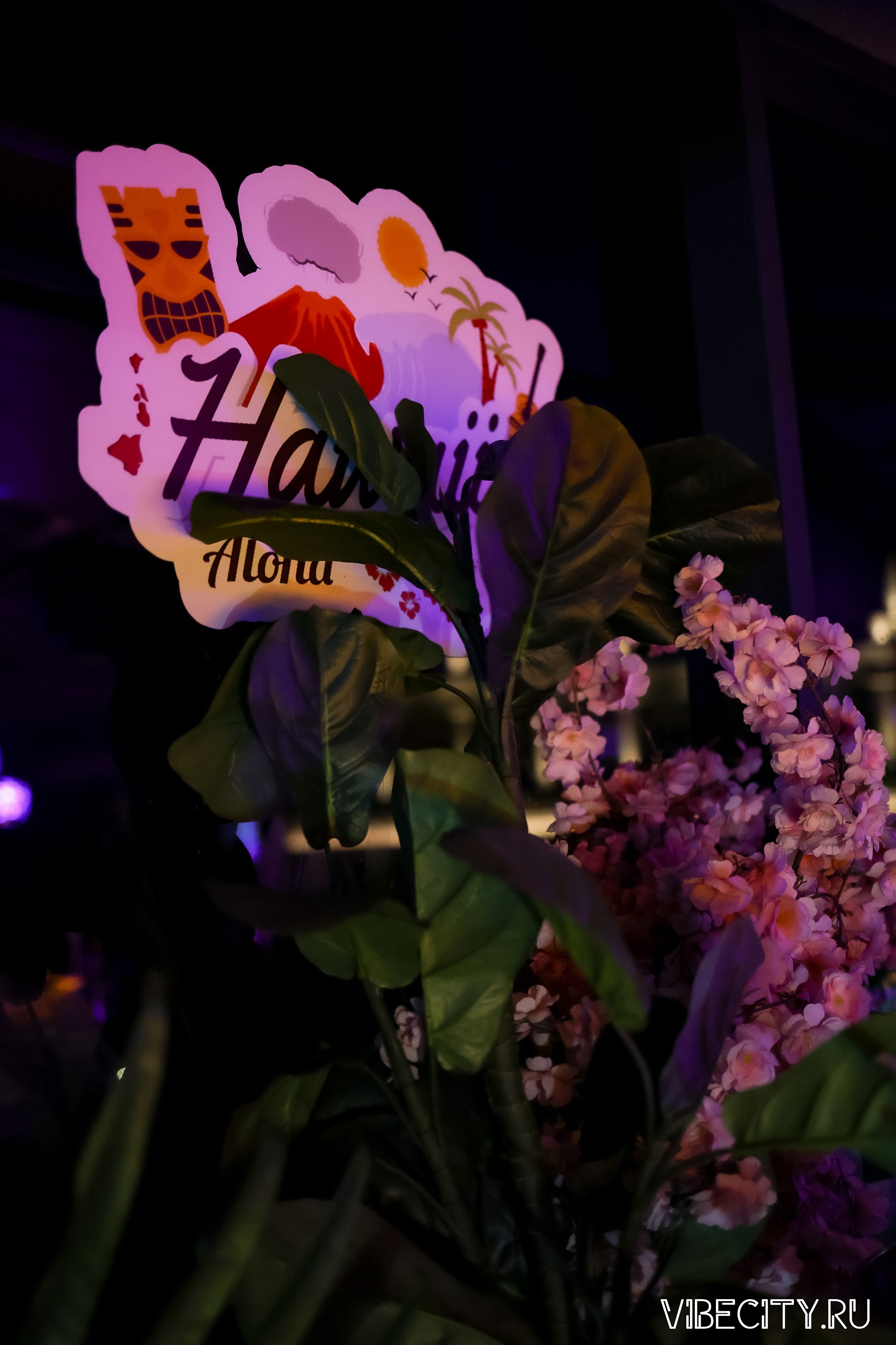 DOUBLE U. VIBECITY.RU Вайб Сити Ру Фоторепортажи Фотоотчеты Калининград