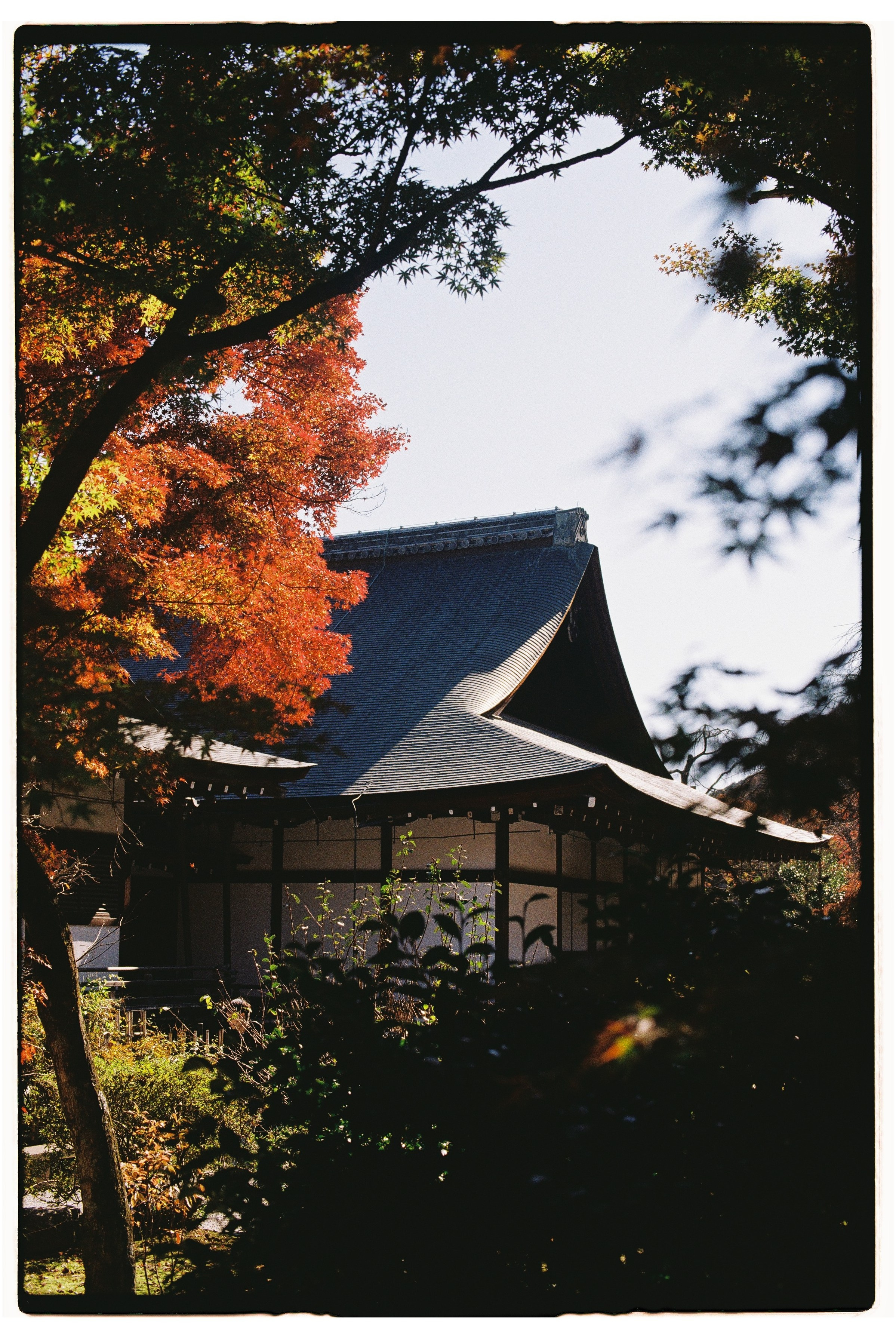 Asia. Olya Filina | Moscow Photographer