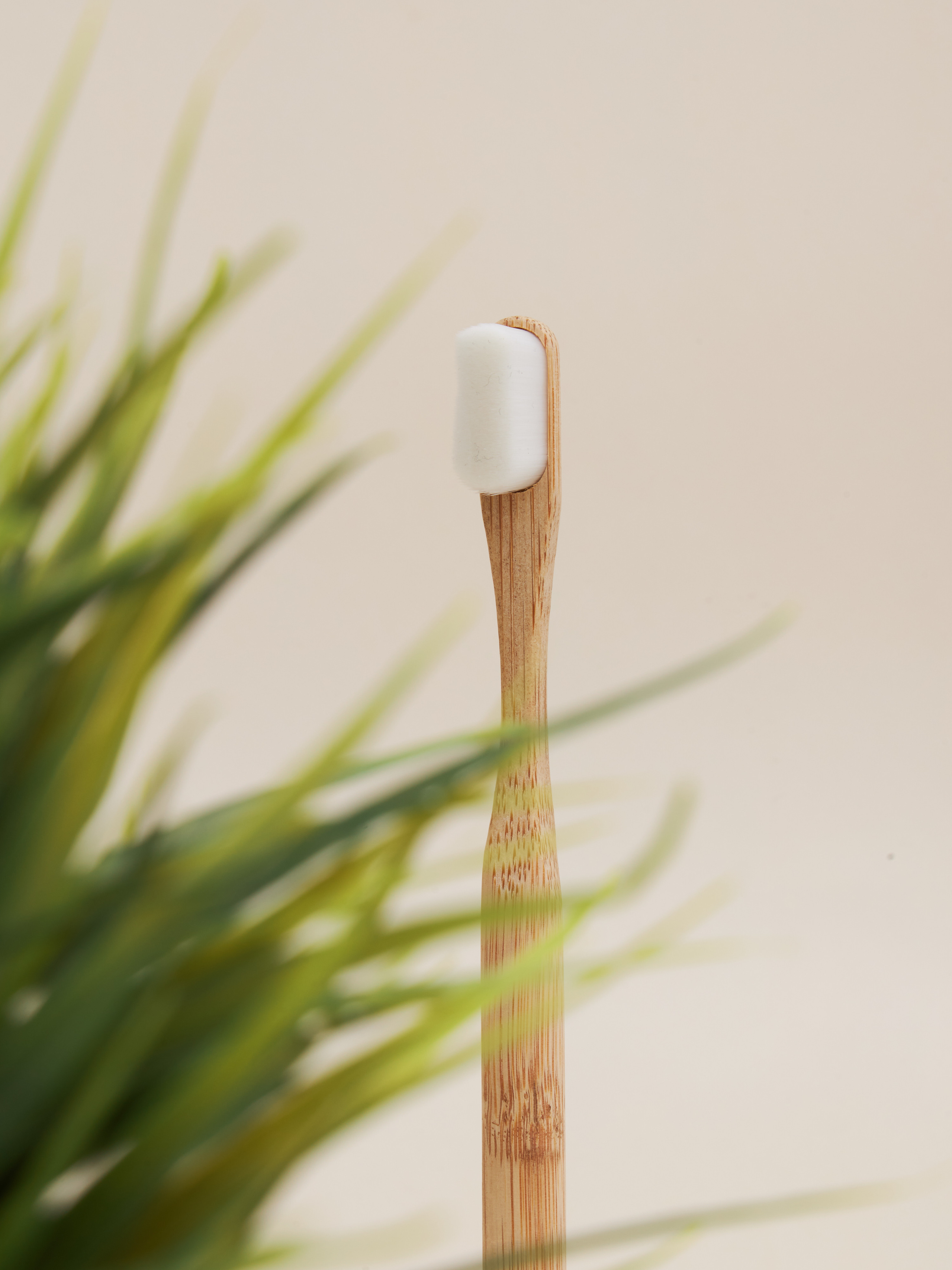 Зубные щетки. Fashion фотограф в Москве Алиса Деко