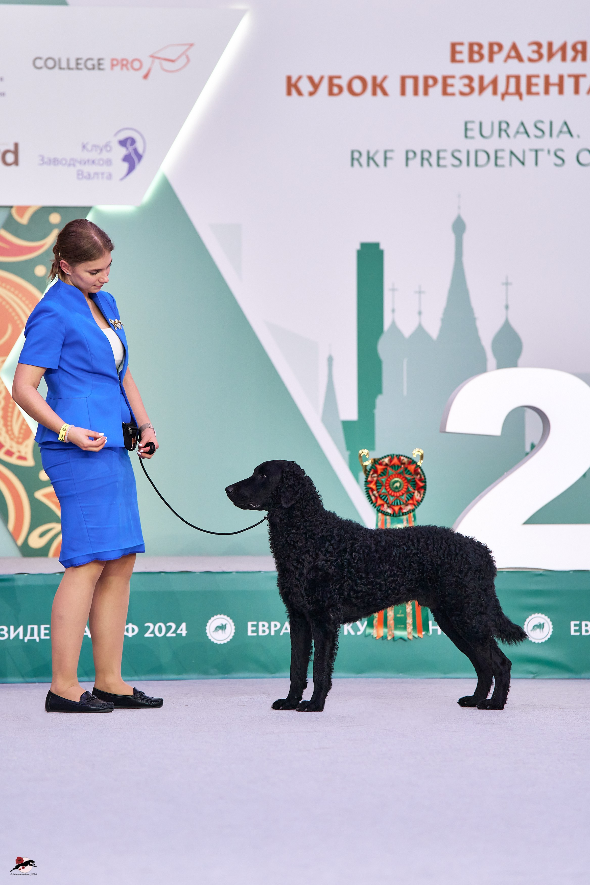 17.11.2024 «ЕВРАЗИЯ. КУБОК СНГ 2024»