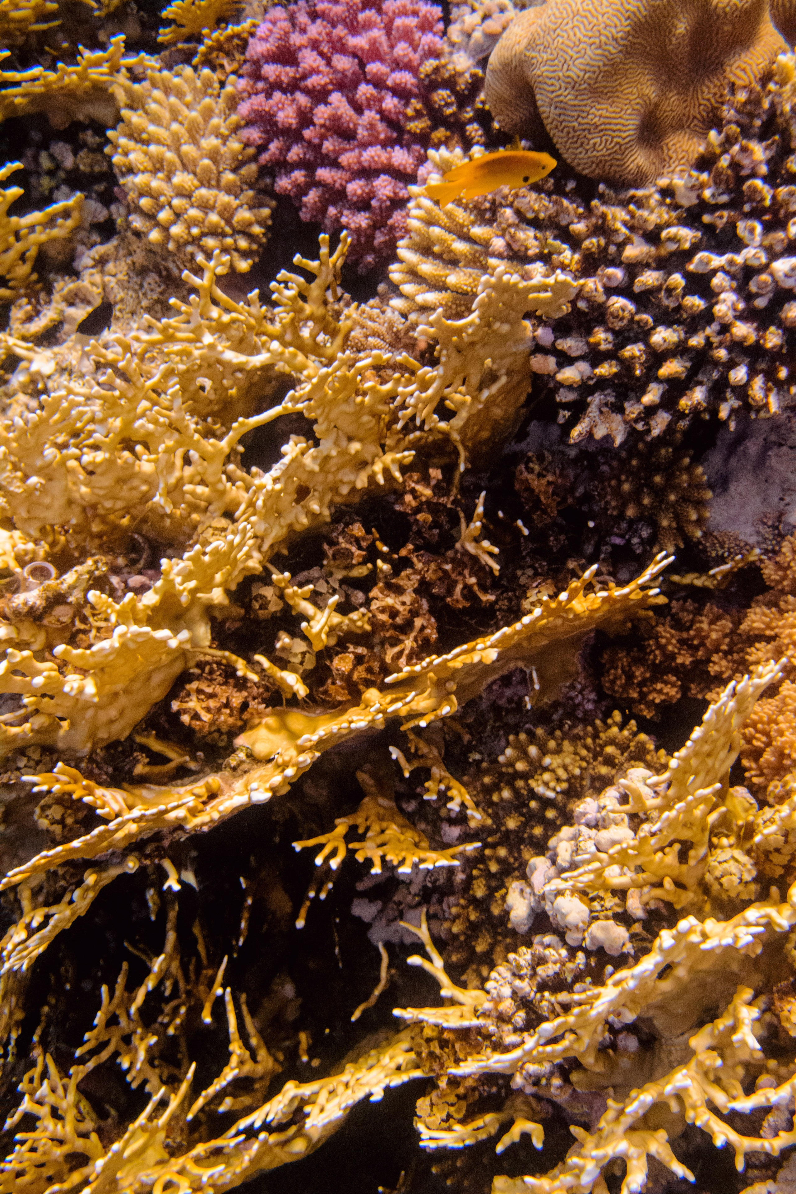 Море. Фотограф в Санкт-Петербурге Ибрагимова Алина