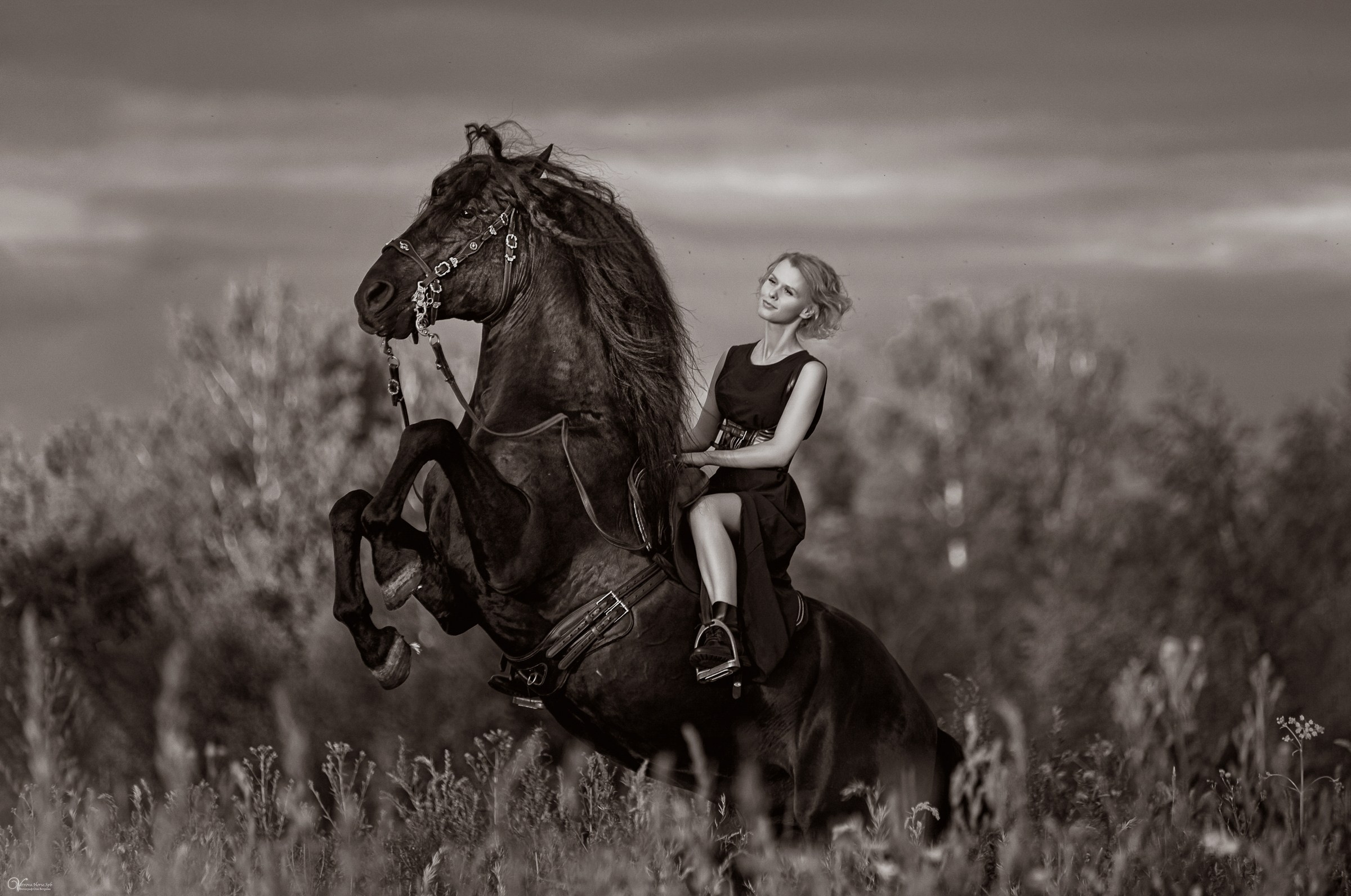 Фотосессии с лошадьми летом. Фотограф женский и мужской портрет Санкт-Петербург