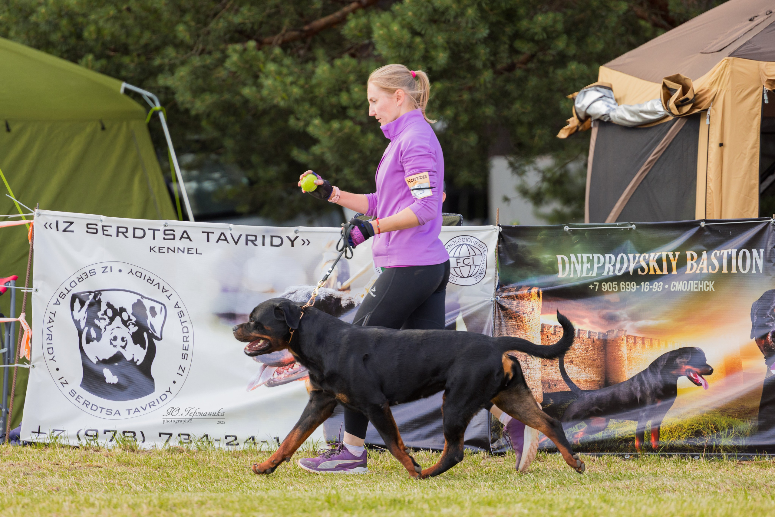 Тверь ротвейлеры 5-6.07.2025. Фотограф-анималист Юлия Германика