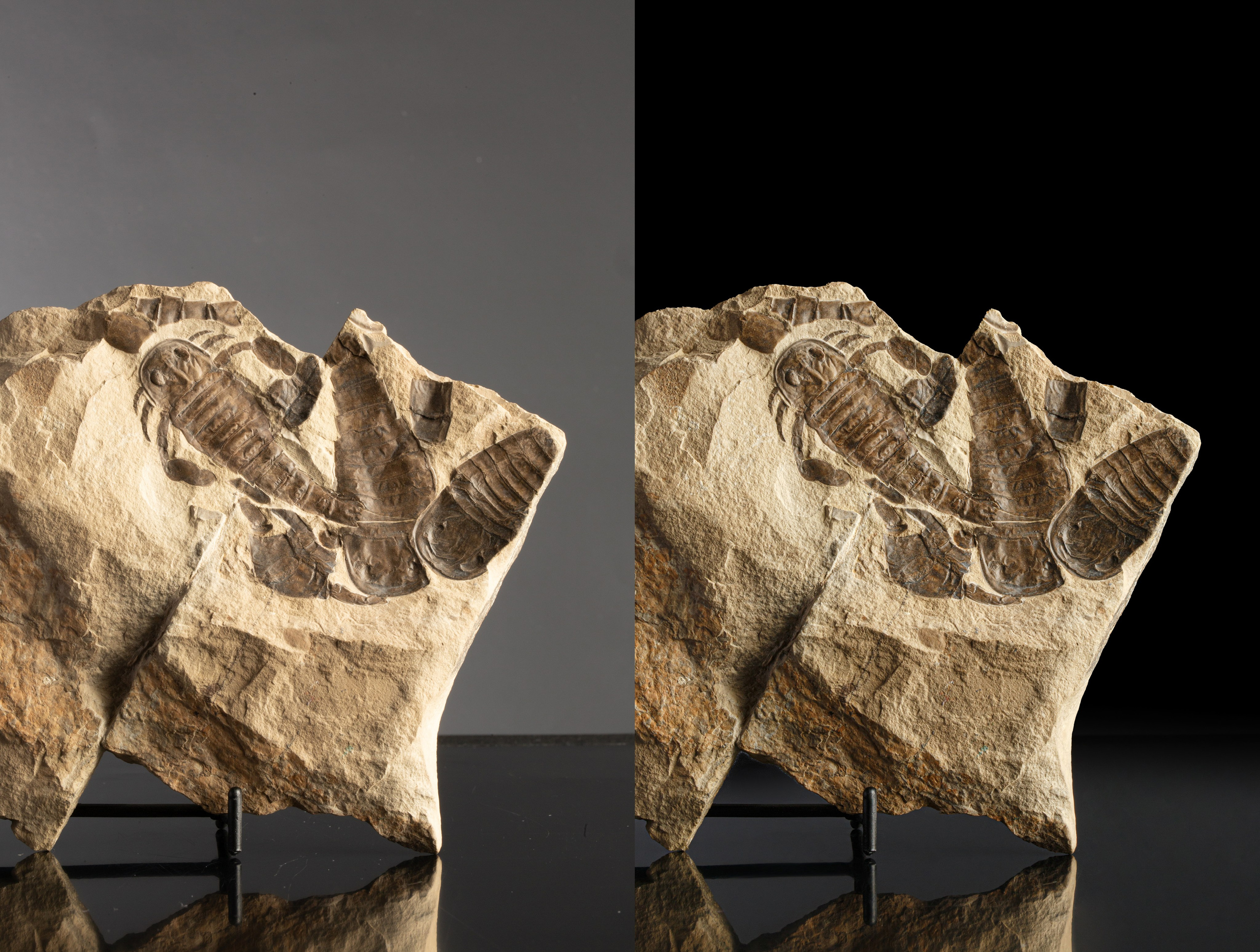 Предметы коллекционирования