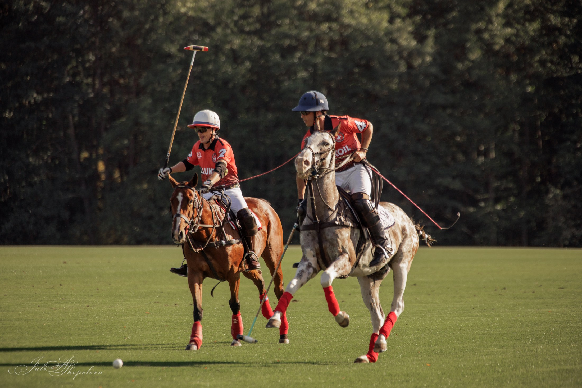 Осенний кубок по конному поло. Детская Конная фотография в Москве Юлия Шепелева