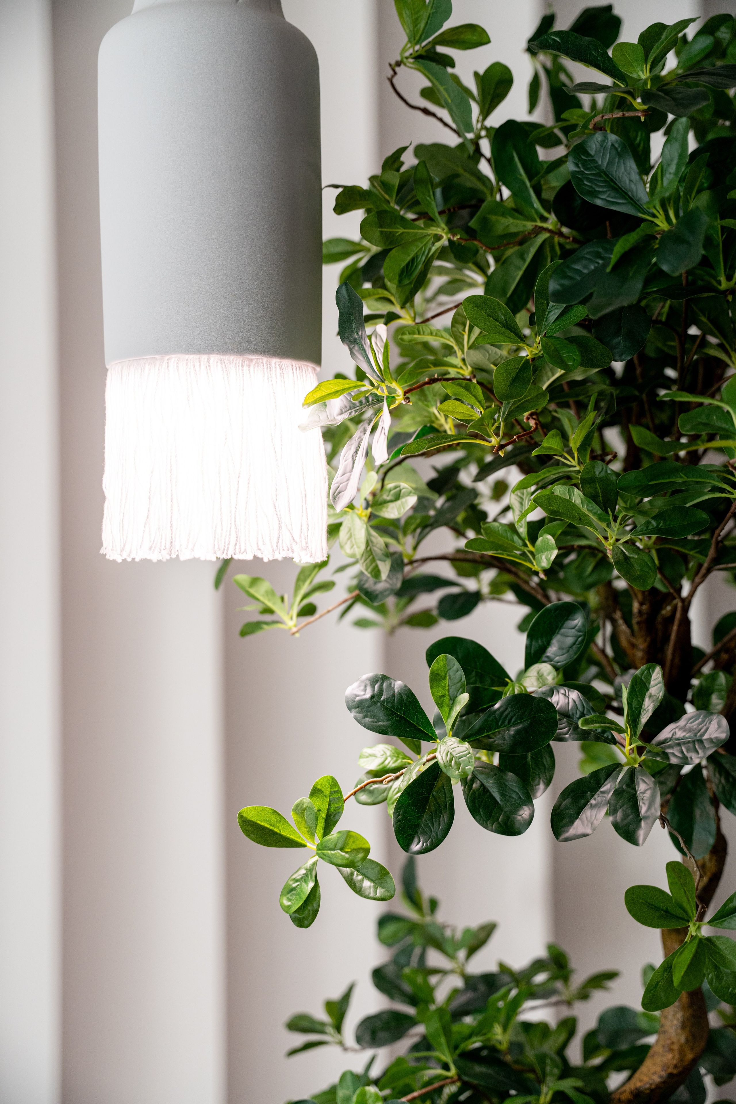 БУТА СПА. Фотограф на любое мероприятие