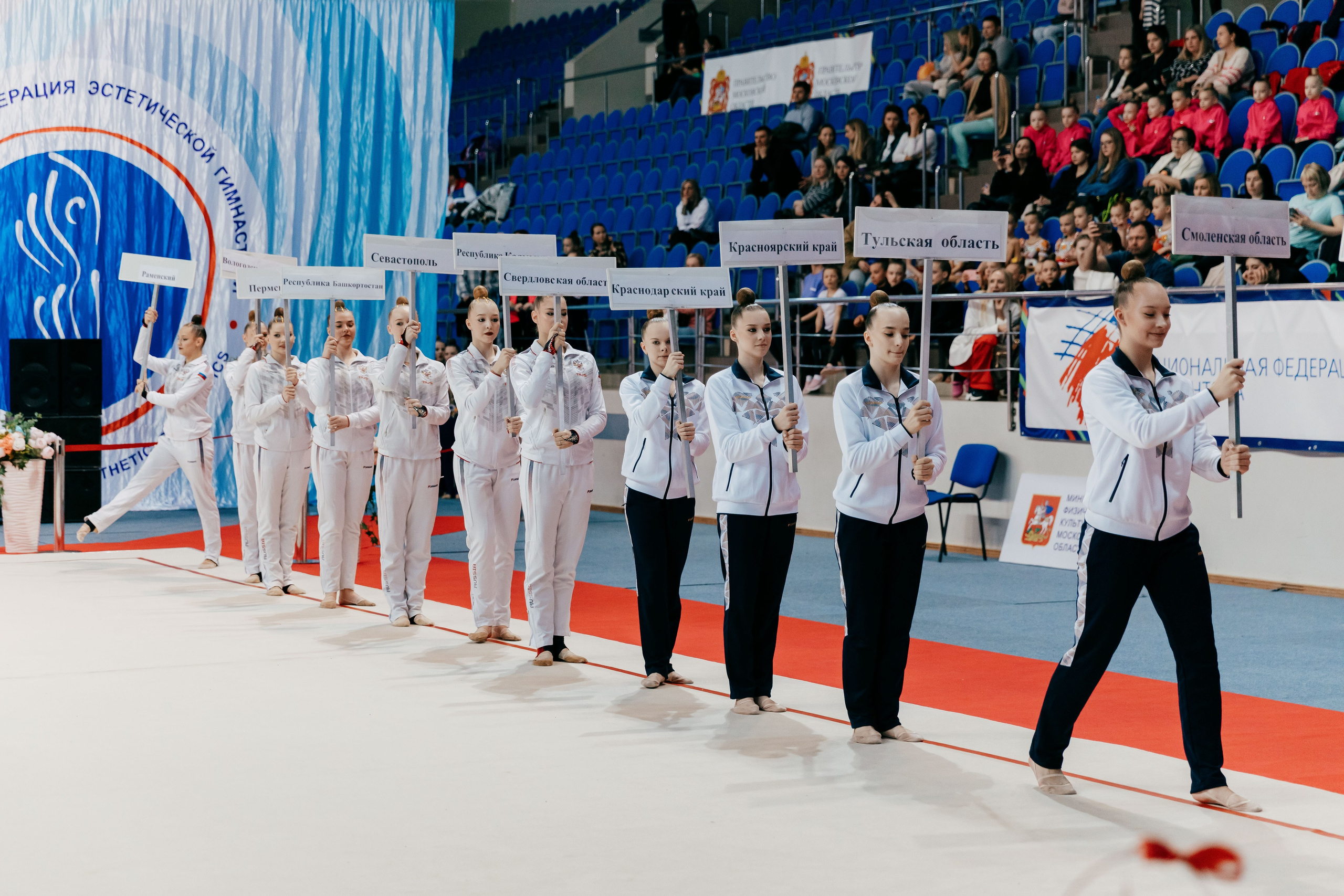 Всероссийские соревнования «ВИКТОРИЯ» Раменское. Спортивный фотограф Александр Васильев. RG и AGG