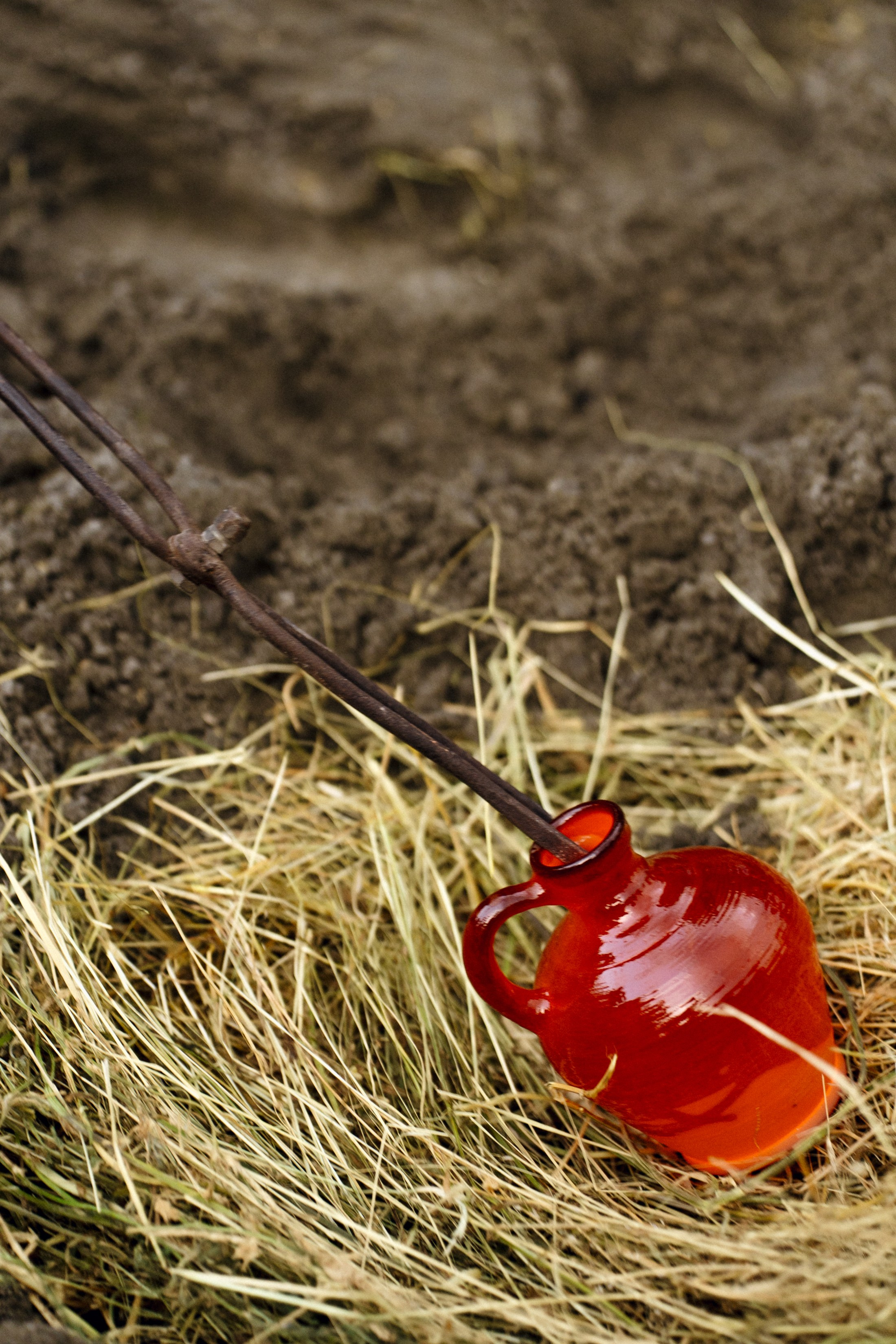 Всероссийский форум-фестиваль «Быть казаком». Свадебный фотограф в Краснодаре и Сочи Винидиктова Екатерина
