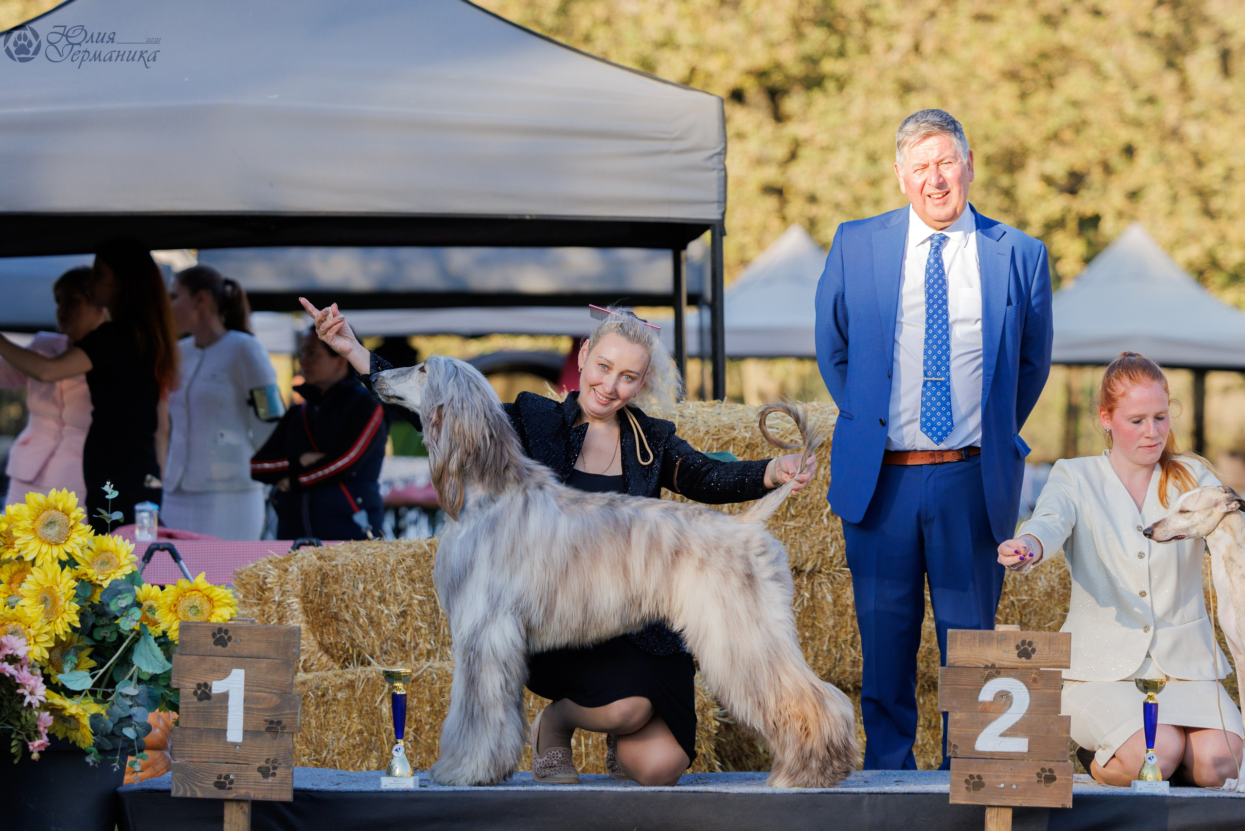 Туция,Стамбул 2хCACIB 26-27.10.24. Фотограф-анималист Юлия Германика