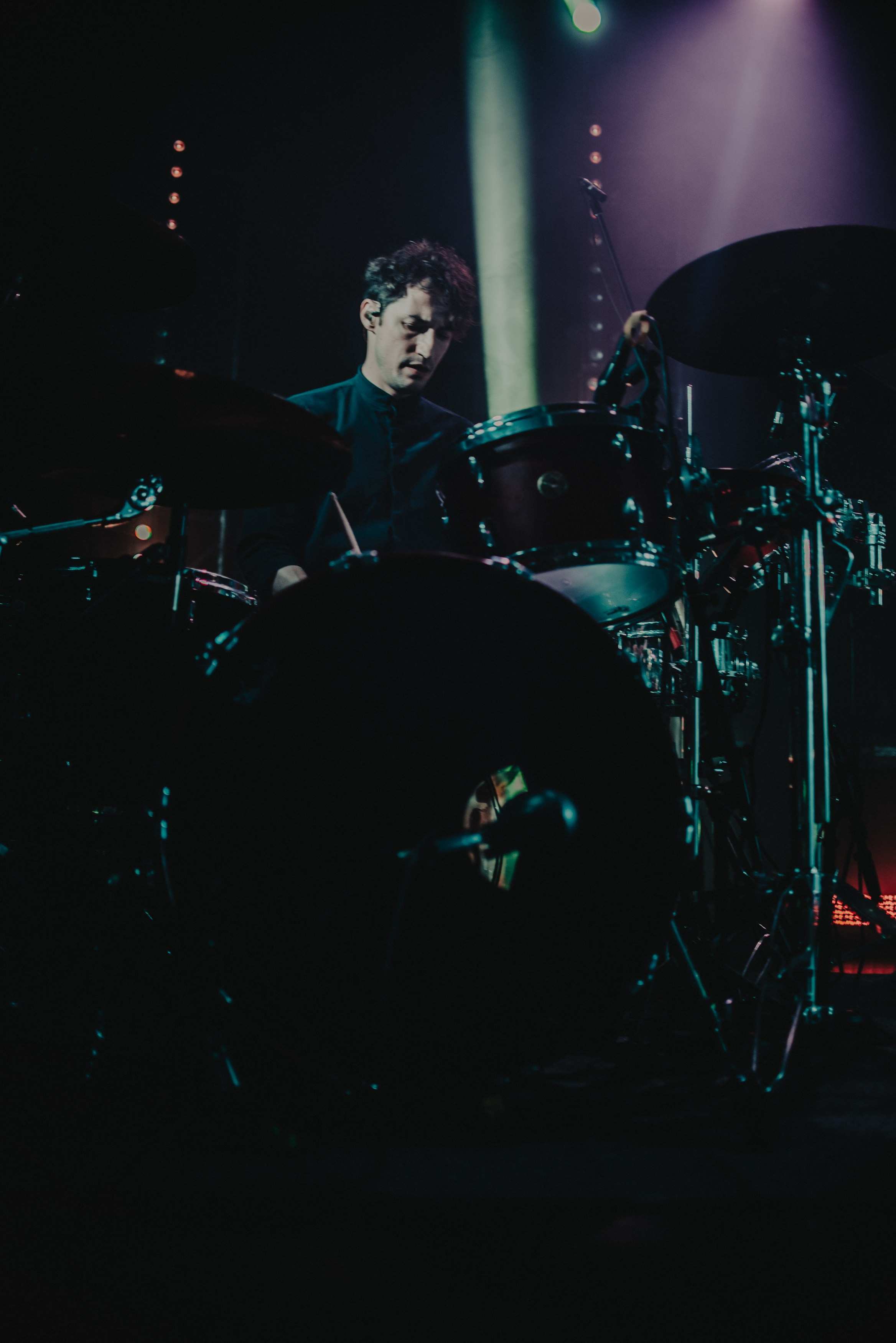 Дельфин | Gaudi. Контент фотограф Илья Урс