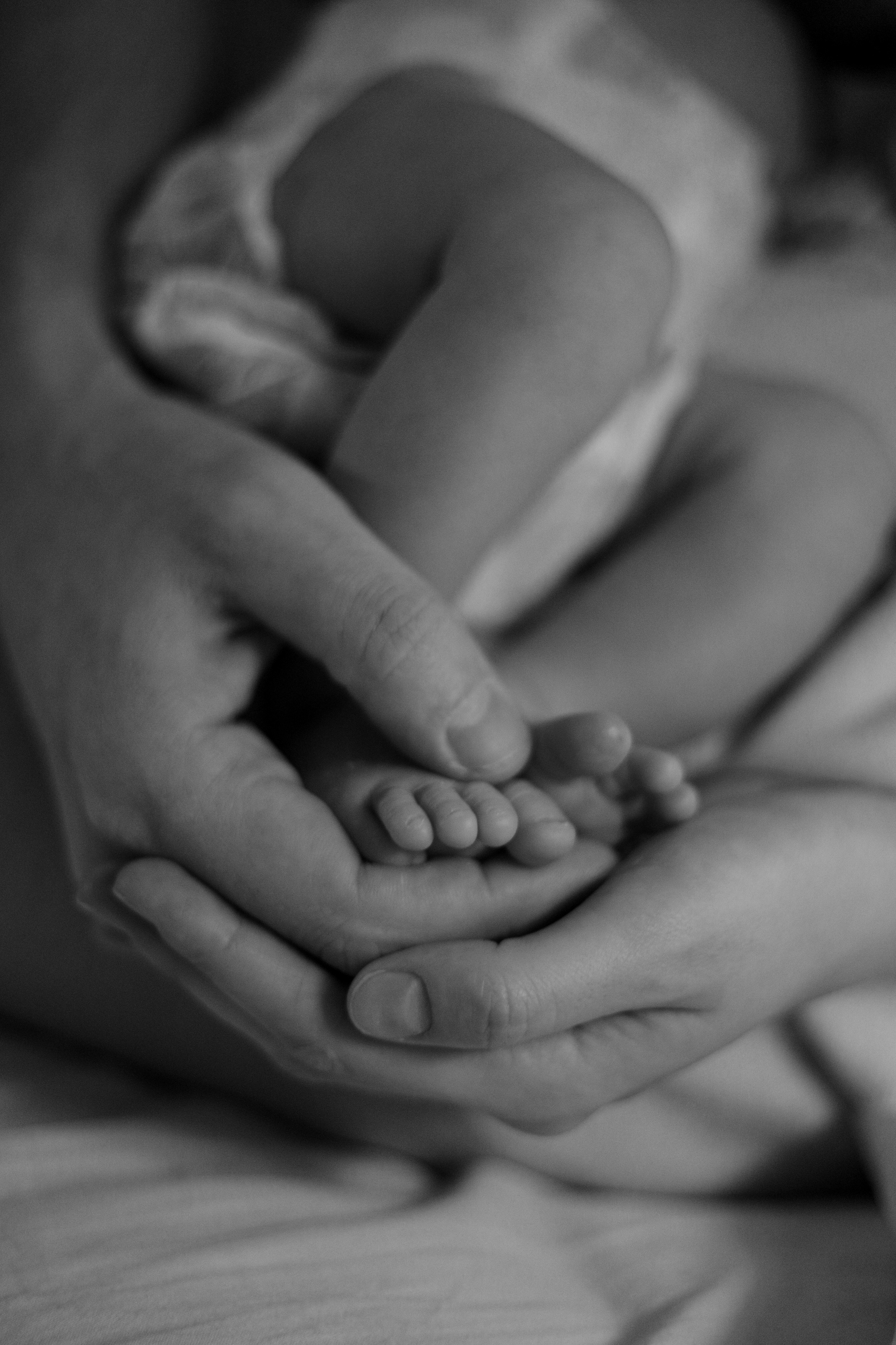 Алексей, Варя и&nbsp;крошка Лев