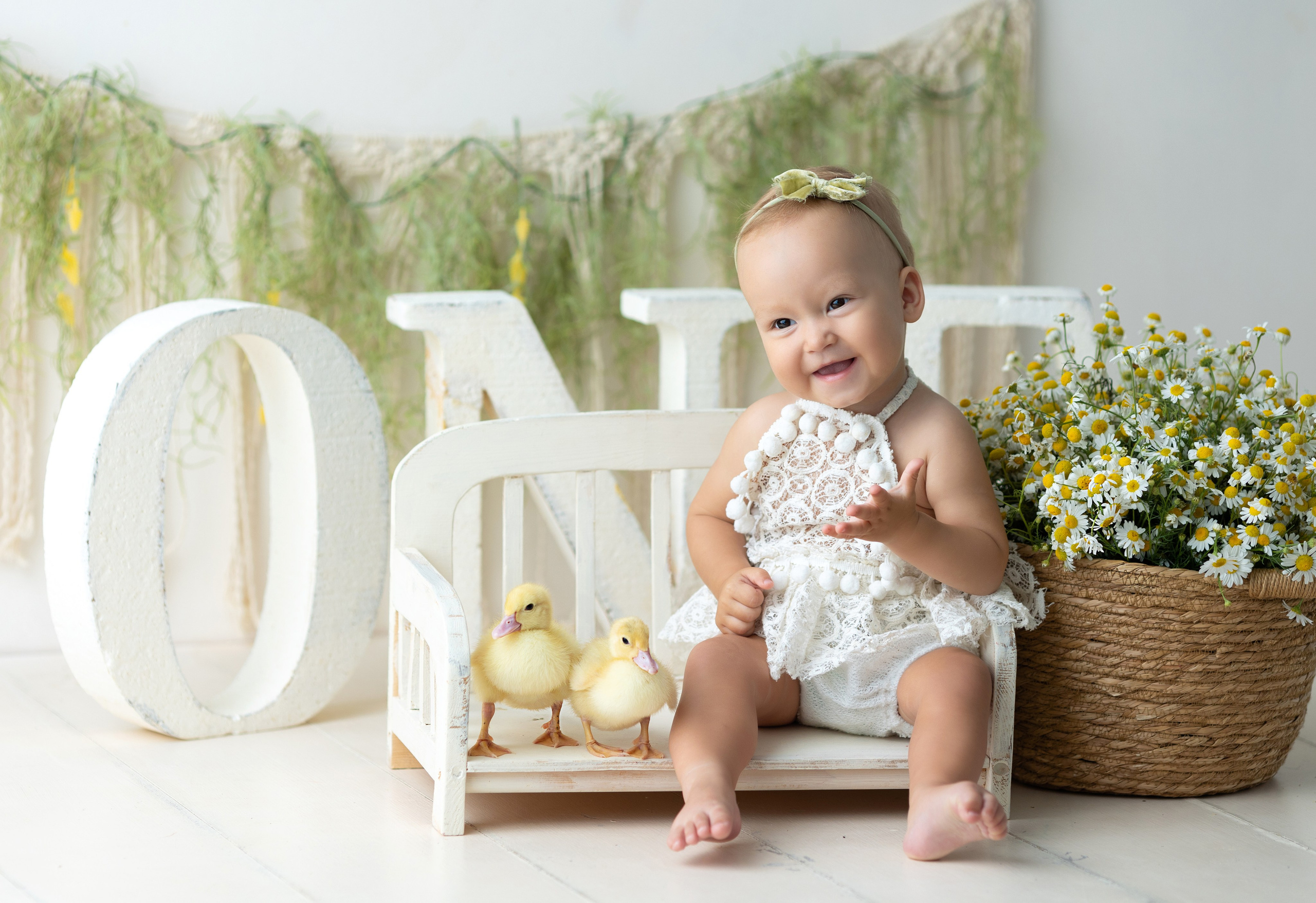 Утки. Главная