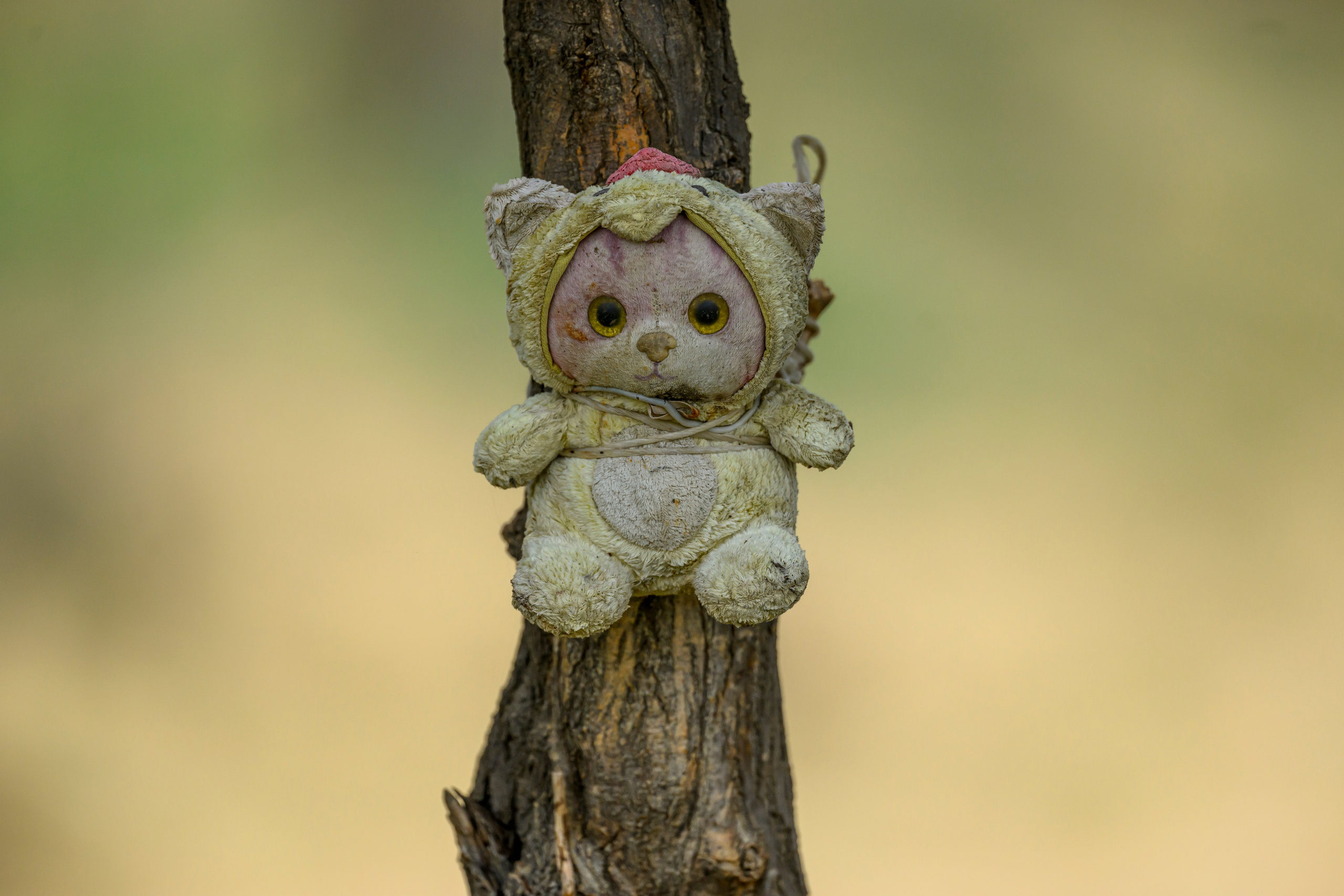 Дагестан. Ноябрь 2025. Фотограф Сергей Пупонин