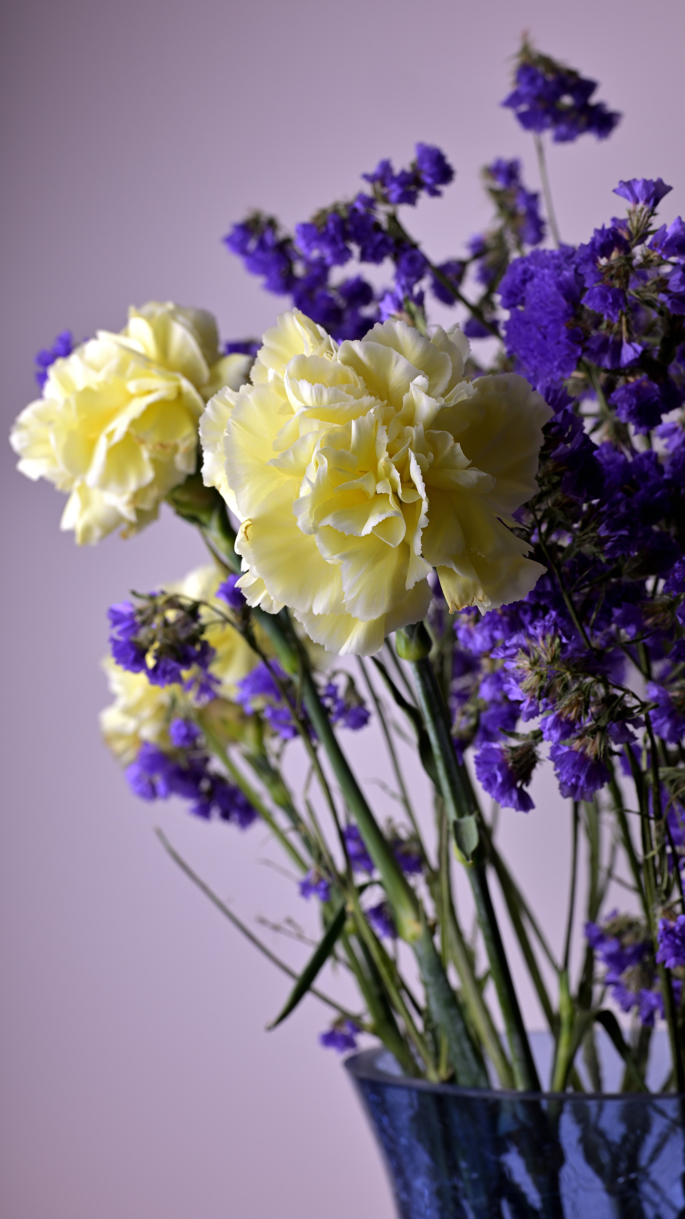 Натюрморты. Сергей Люльченко фотоальбом