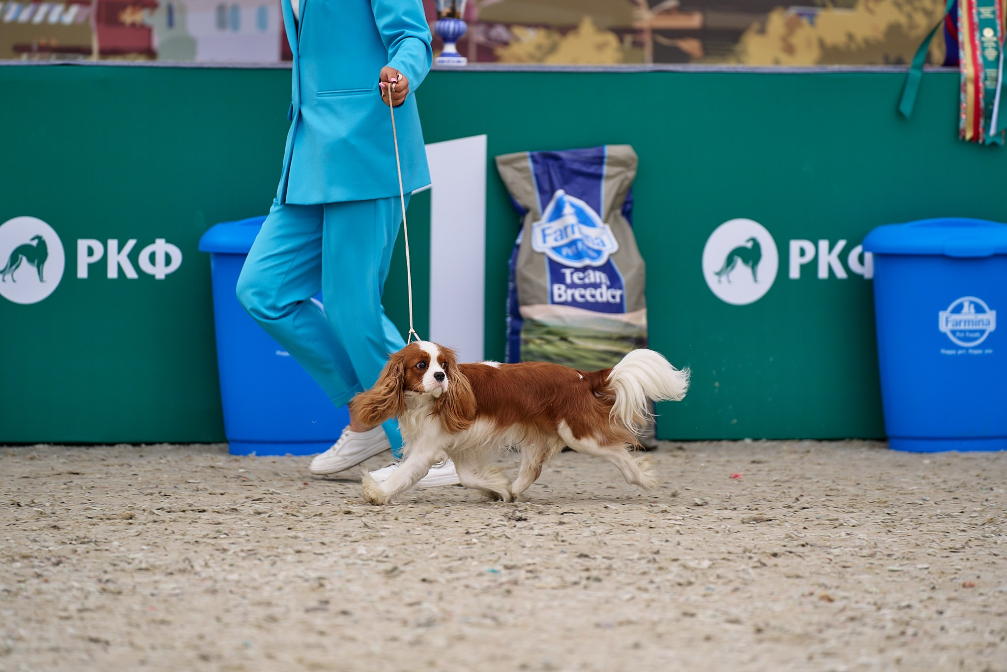 09.06.2024, «РОССИЯ. КУБОК МОСКВЫ 2024 & КУБОК ГОРОДОВ-ГЕРОЕВ»
