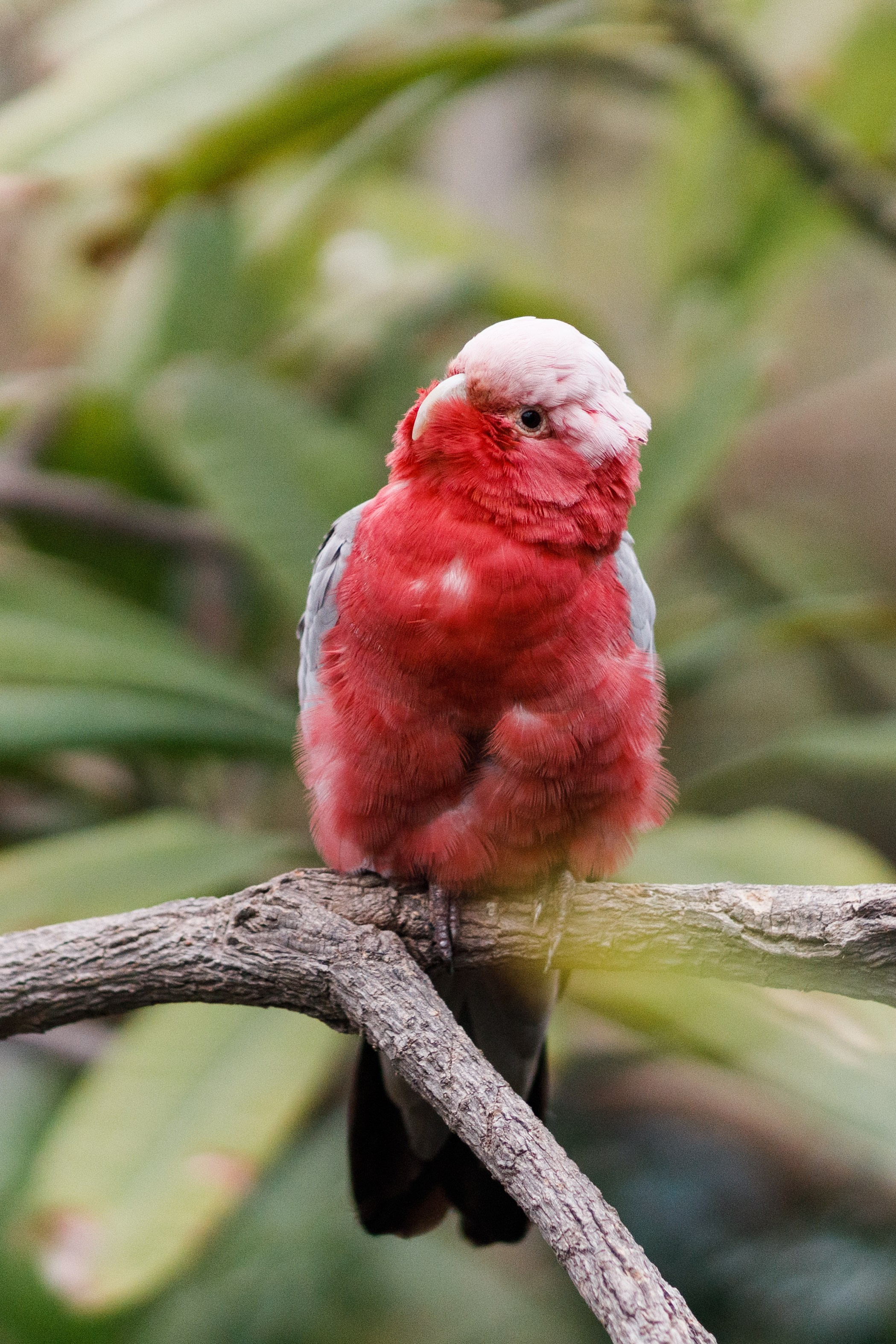 Дубай 2023. Руслан Плахтеев