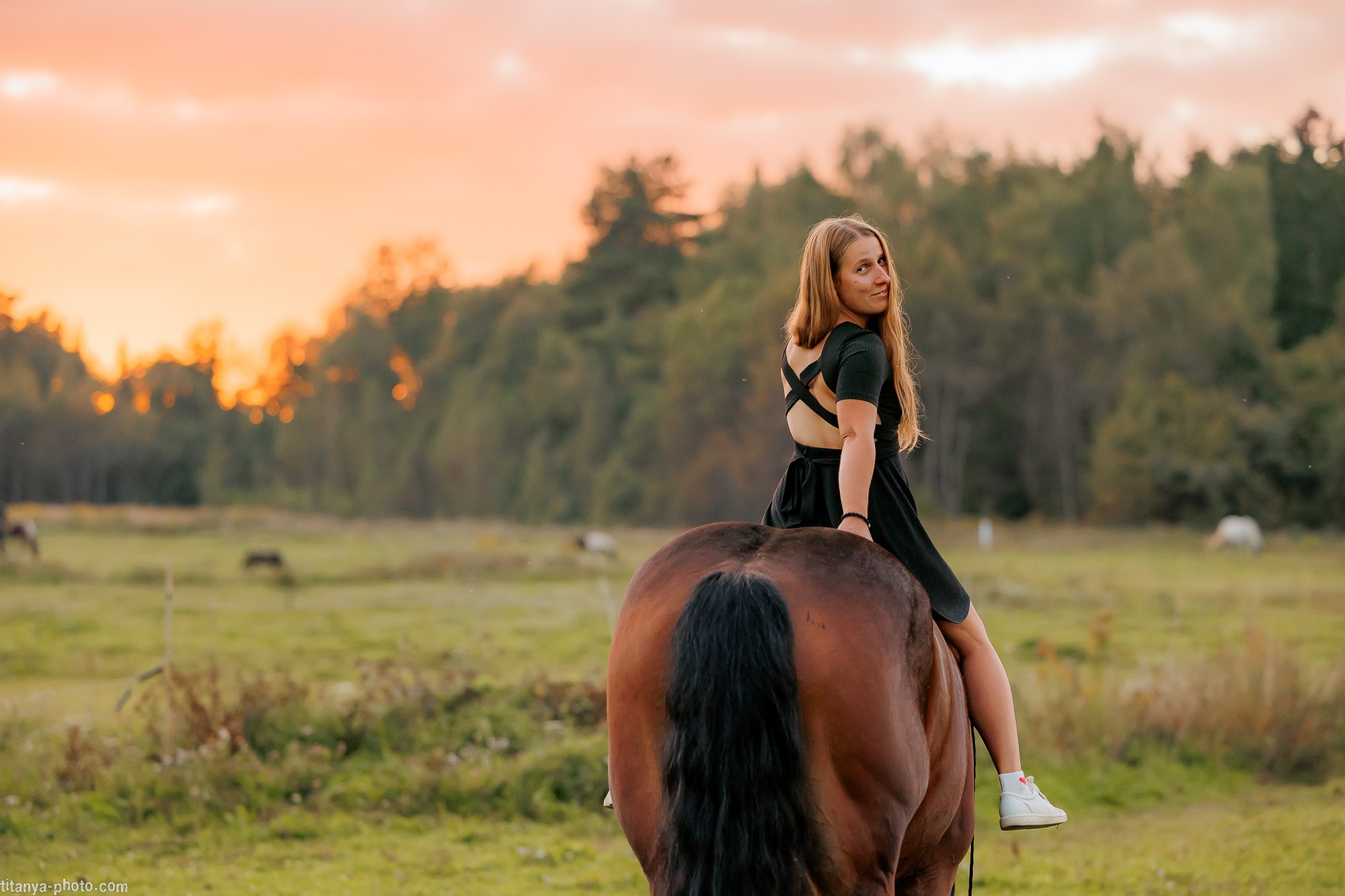 Закатная семейная фотосессия: про Настю и её дружную семью. Фотограф собак, фотограф-анималист Аня Титова (Titanya). Москва