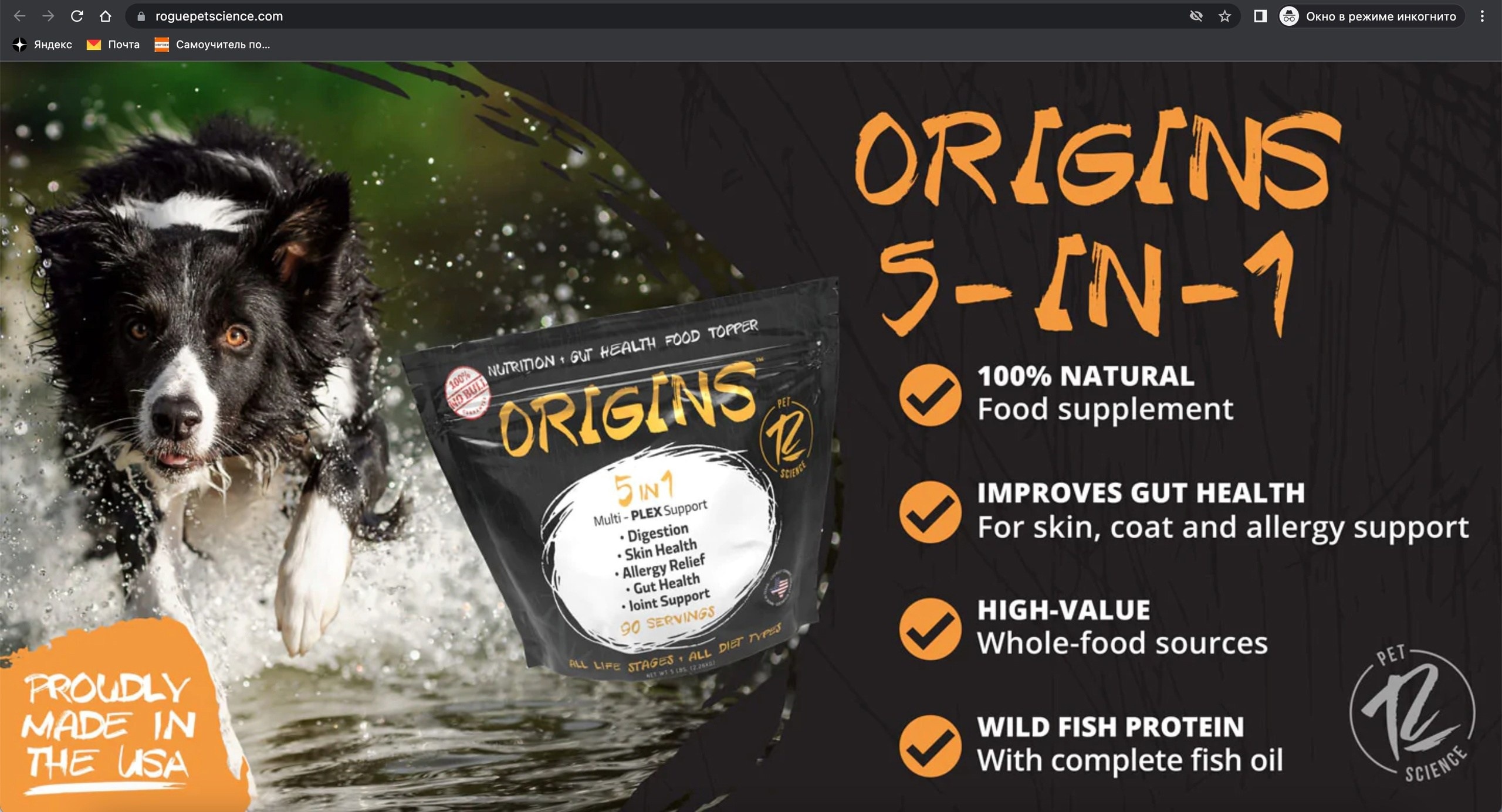 О фотографе TitAnya. Фотограф собак, фотограф-анималист Аня Титова (Titanya). Москва