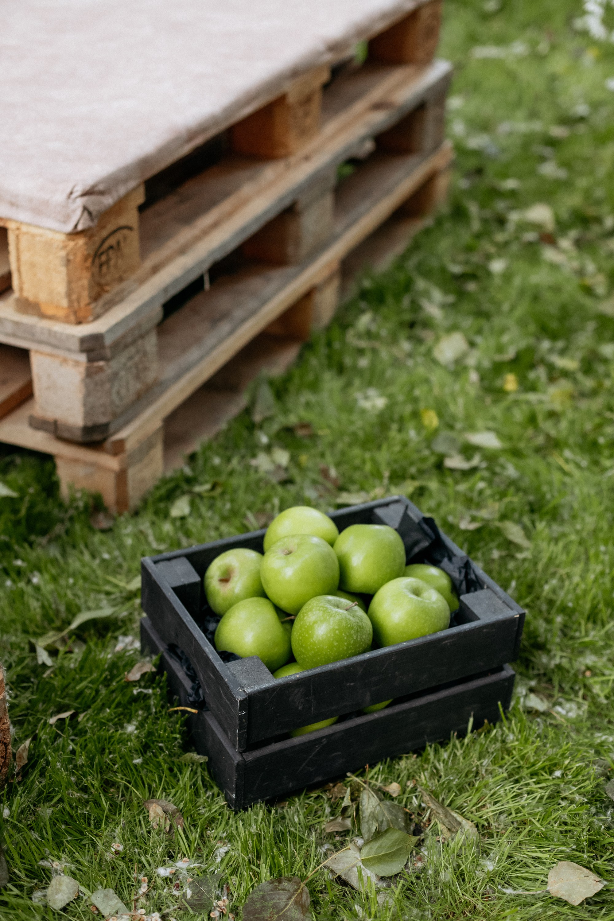 PROBIRKA21 — КИНОПОКАЗ. СВОИ. ФОТООТЧЕТЫ-СОБЫТИЯ-МЕСТА