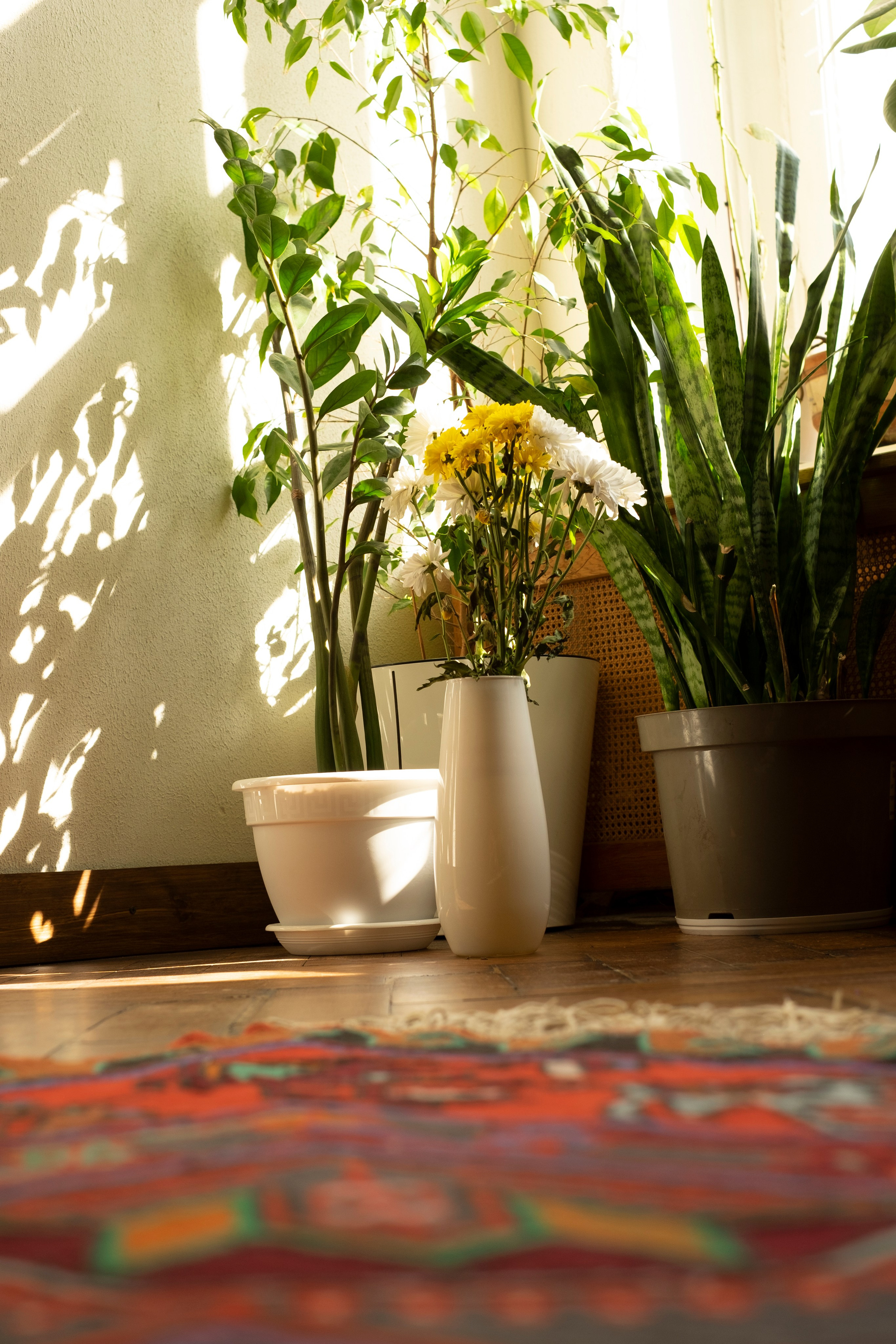 Живая Студия. Фототерапия «Пульс СЧАСТЬЯ»