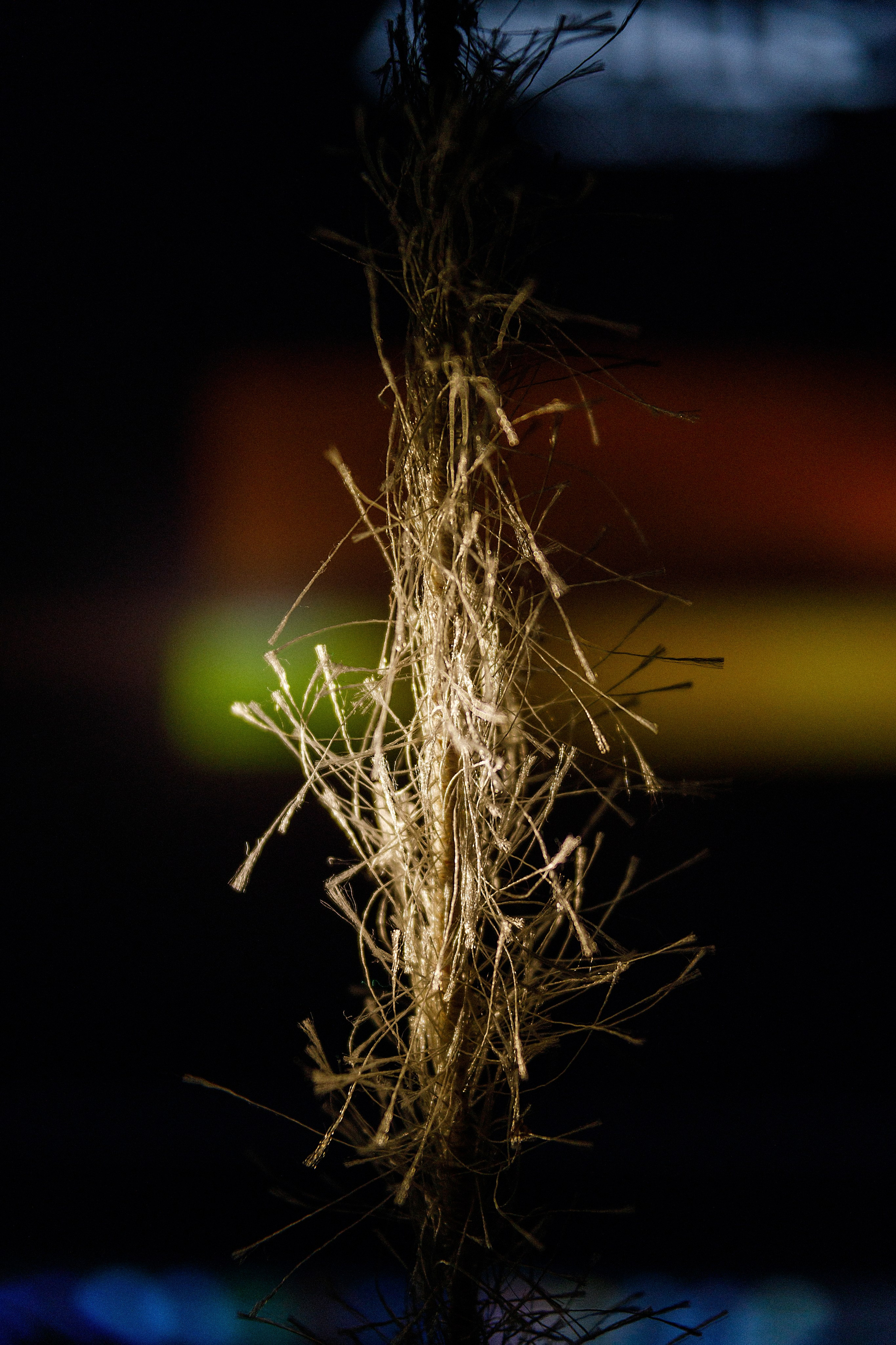 Проект «366»|2024|Фото каждый день. LENA GRACE photographer ||ЛЕНА ГРЭЙС фотограф