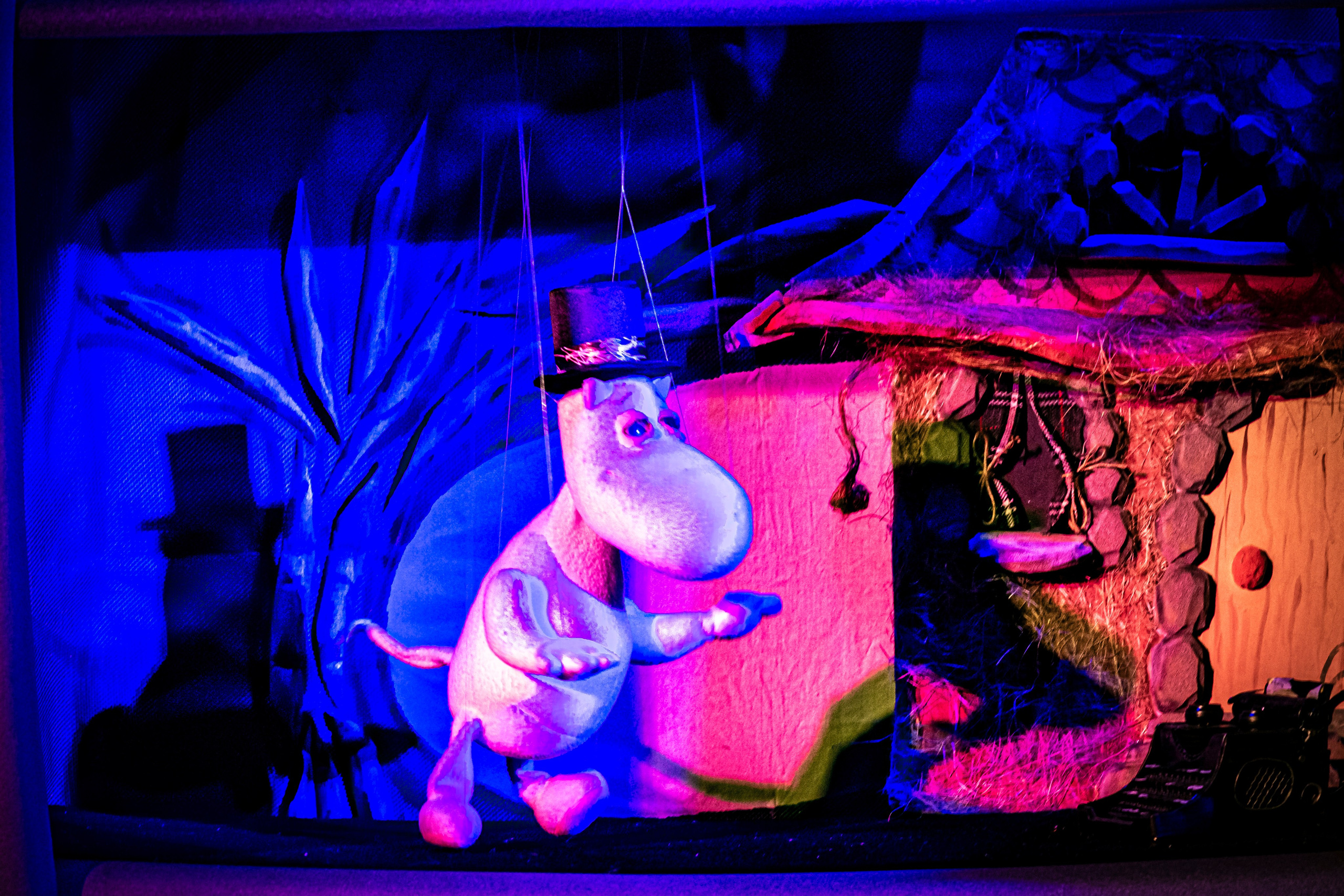 «Муми тролли и большое наводнение». Фотограф в Сочи Юрий Шептаев