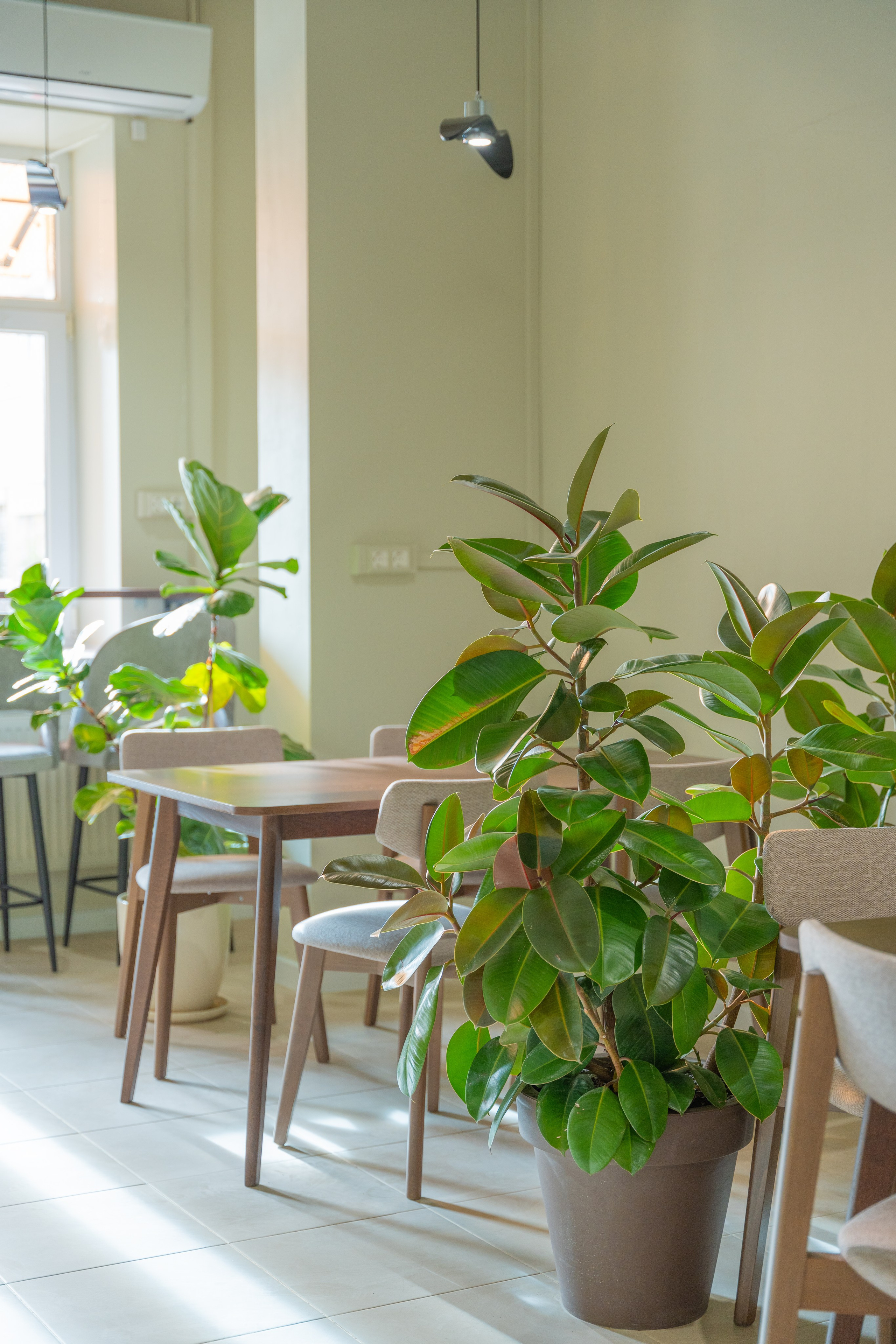 Интерьерная фотосъемка кофейни Love and Coffee — уютное место в Краснодаре Профессиональная фотосъемка интерьера кофейни в Краснодаре — Love. Шедевры для Вас! Фотограф и Видеограф в Краснодаре Пахиев Руслан