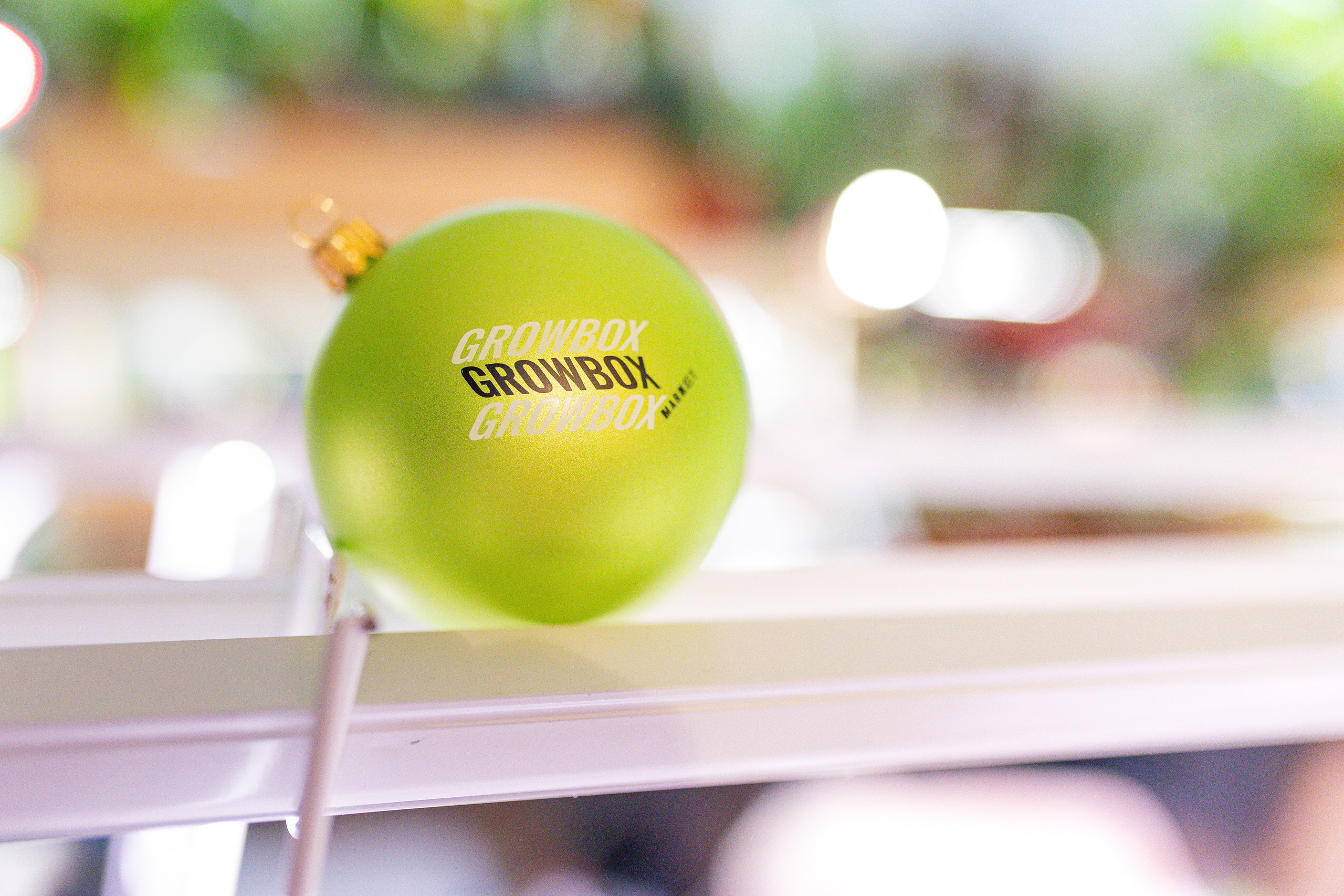 Growbox декабрь 2025. Александра Куликова фотограф, Москва