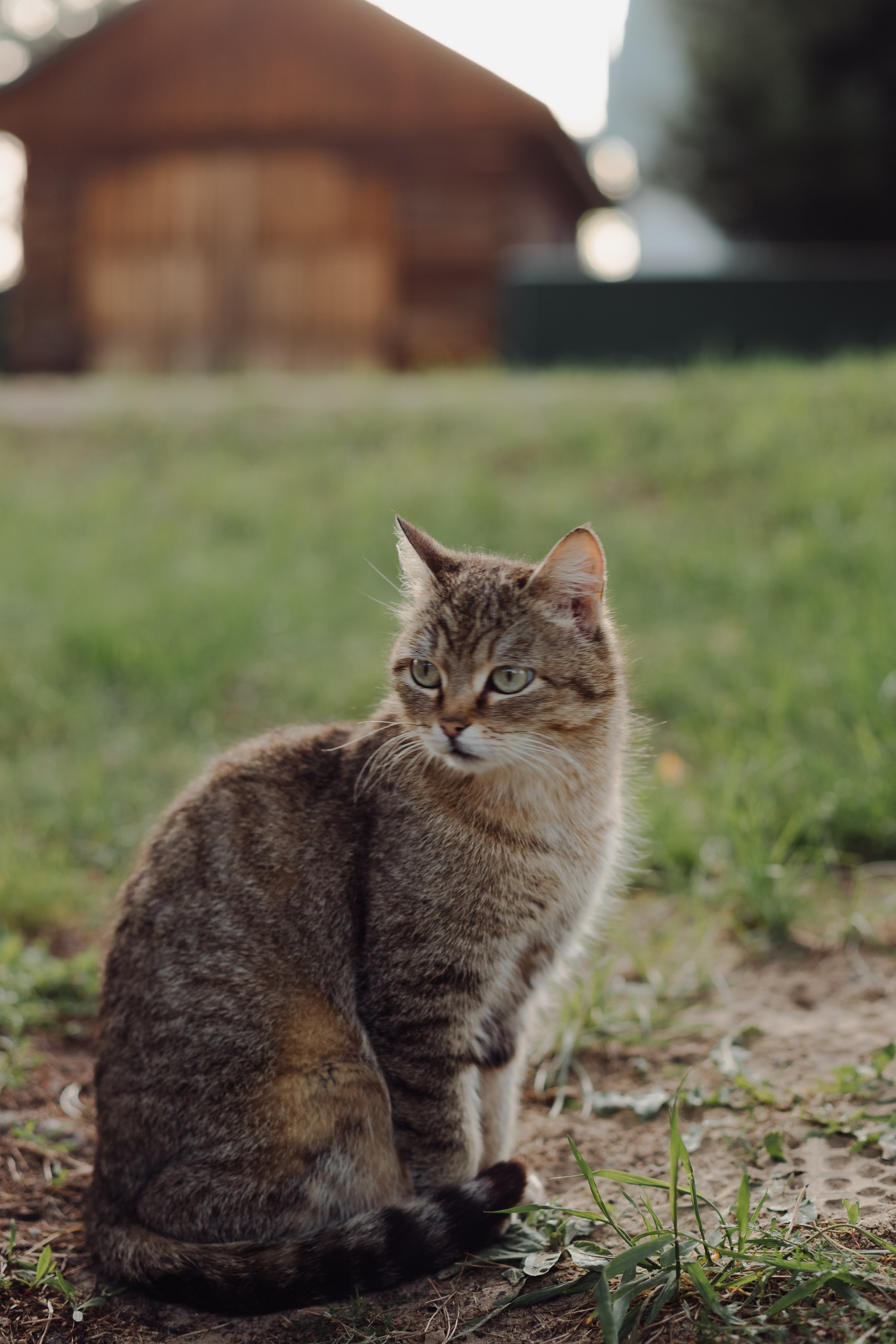 Майские прогулки. Фотограф в Томске Евгения Гуляева