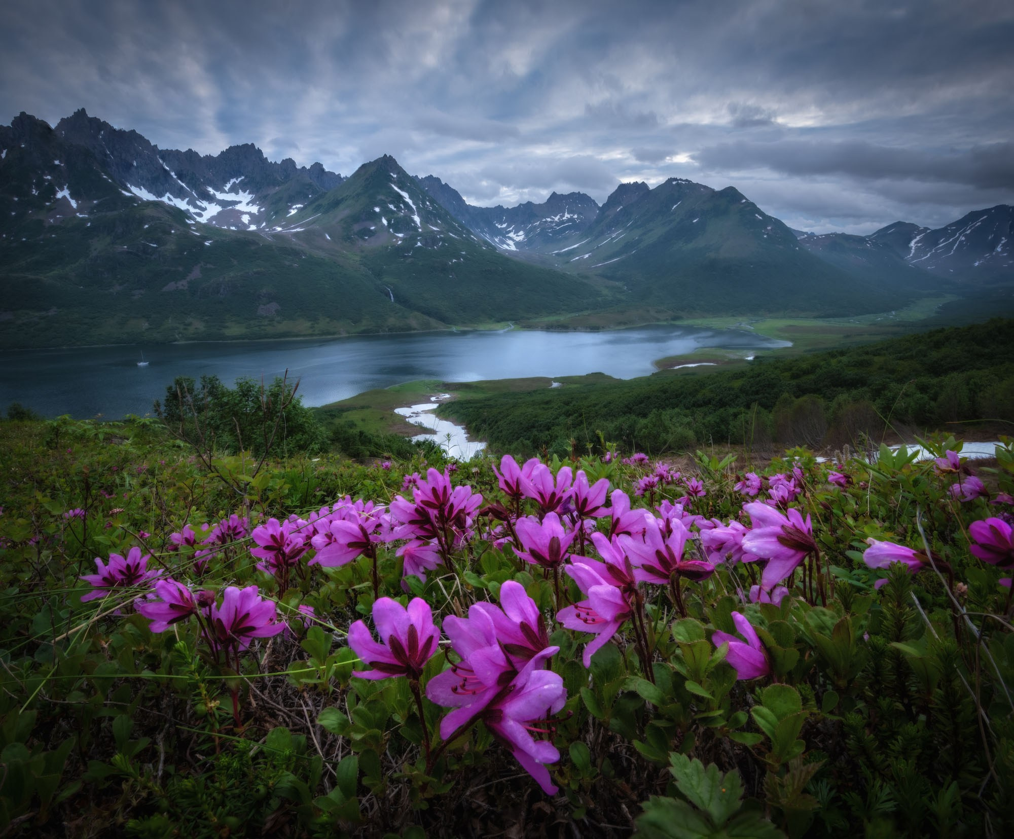 Фотоэкспедиция в Корякию и Командоры 2026