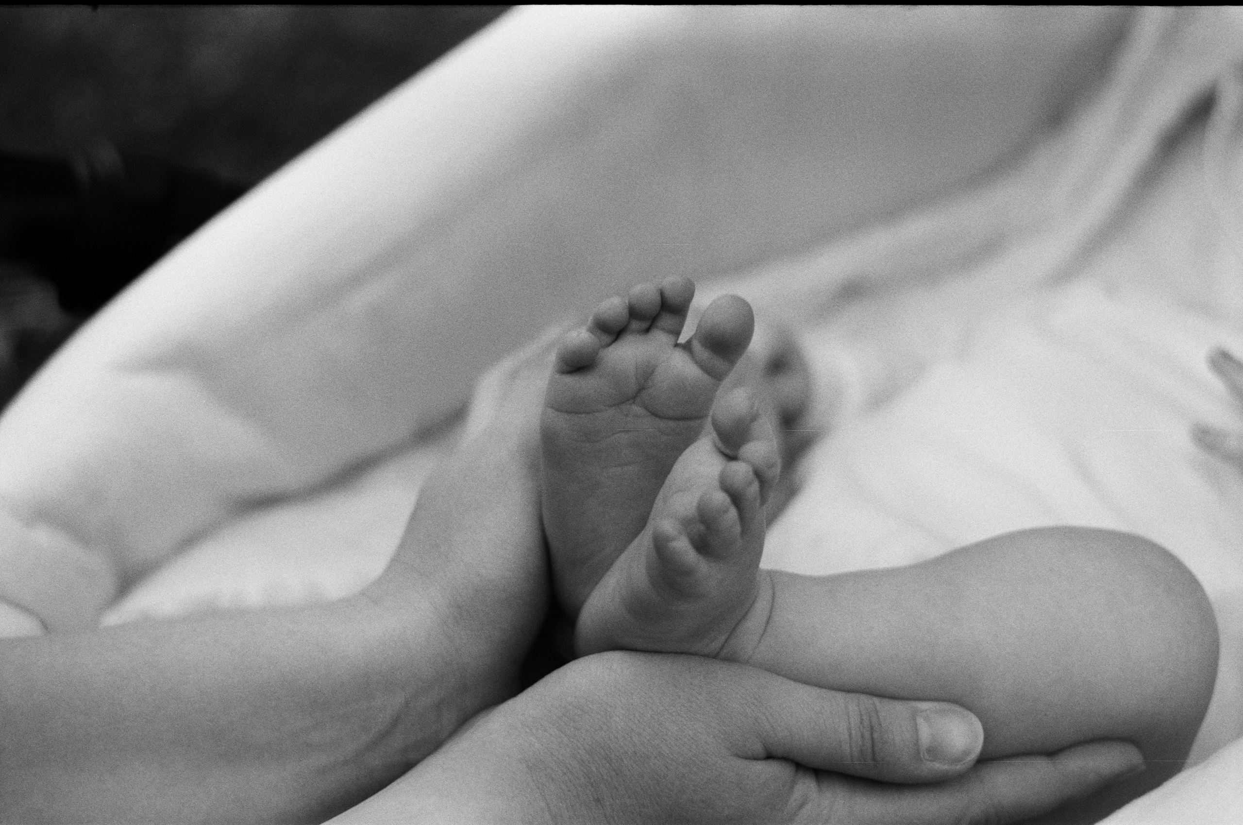 Кира, Олег, Венера и Ролан в Сиреневом саду. Настя Оленченко, портретный/семейный фотограф на цифру и плёнку Москва