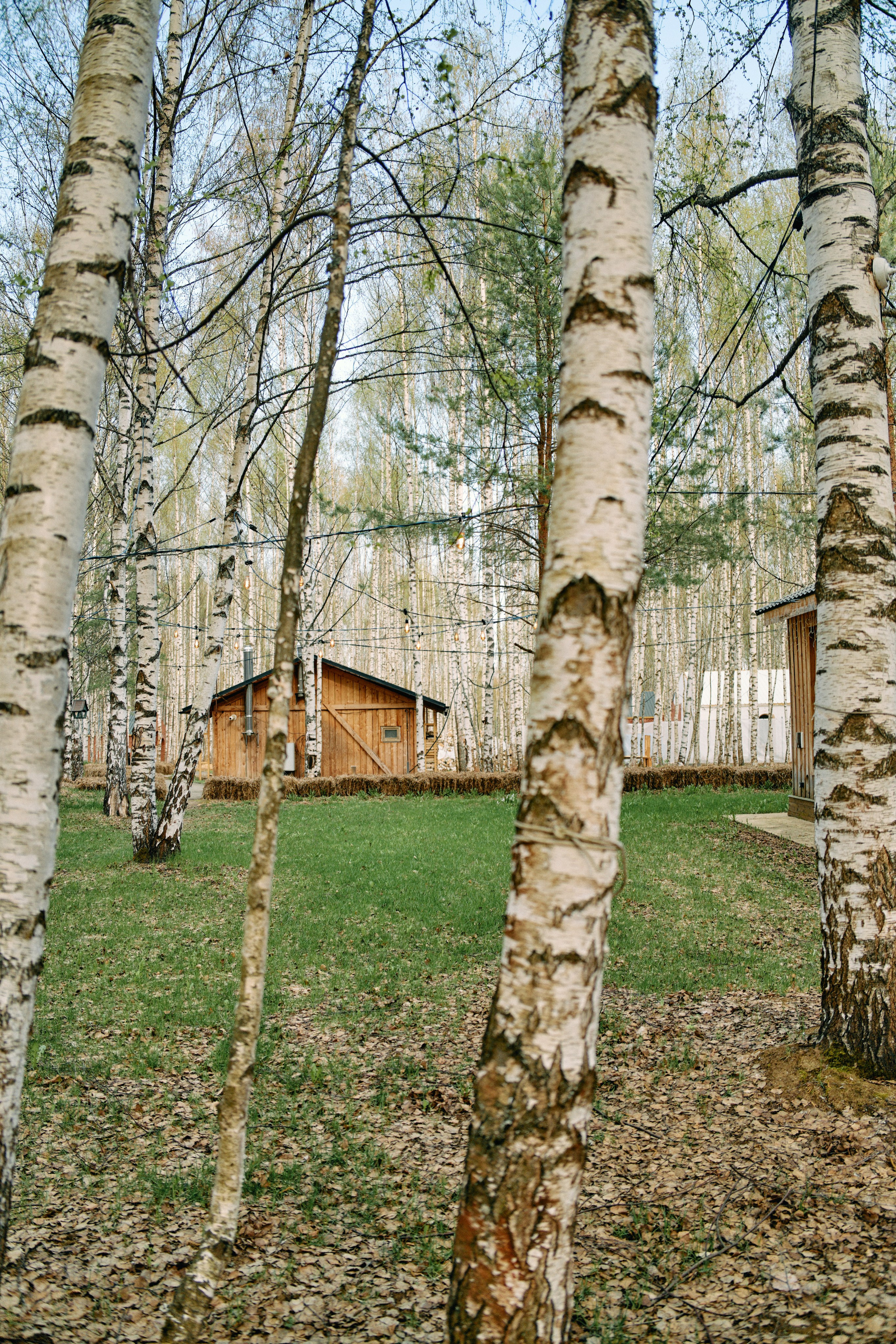 Бутик-отель Поле летом. Профессиональный Фотограф во Владимире, в Москве и в Суздале — Полина Романычева