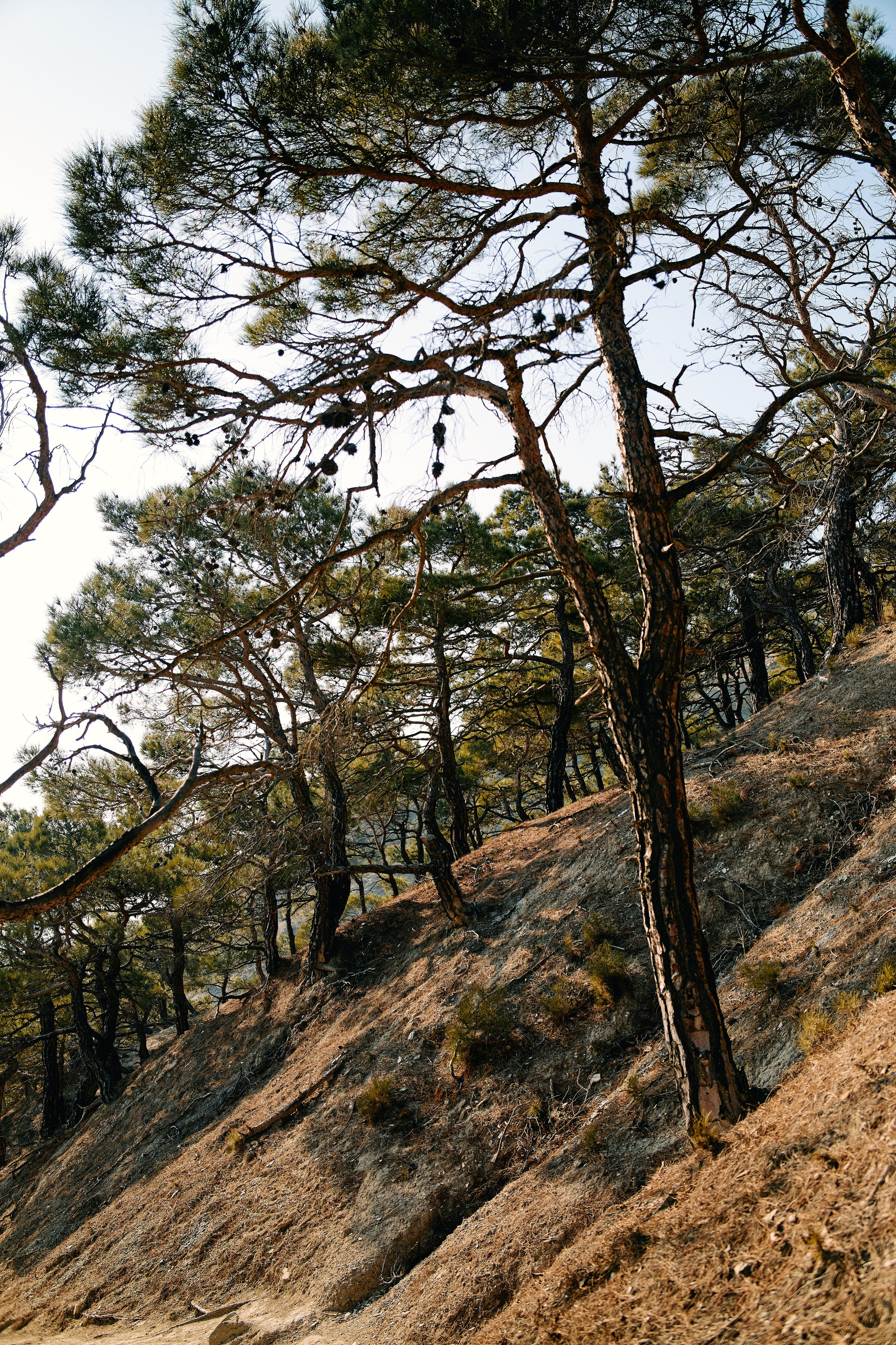 Юг России. Профессиональный Фотограф во Владимире, в Москве и в Суздале — Полина Романычева