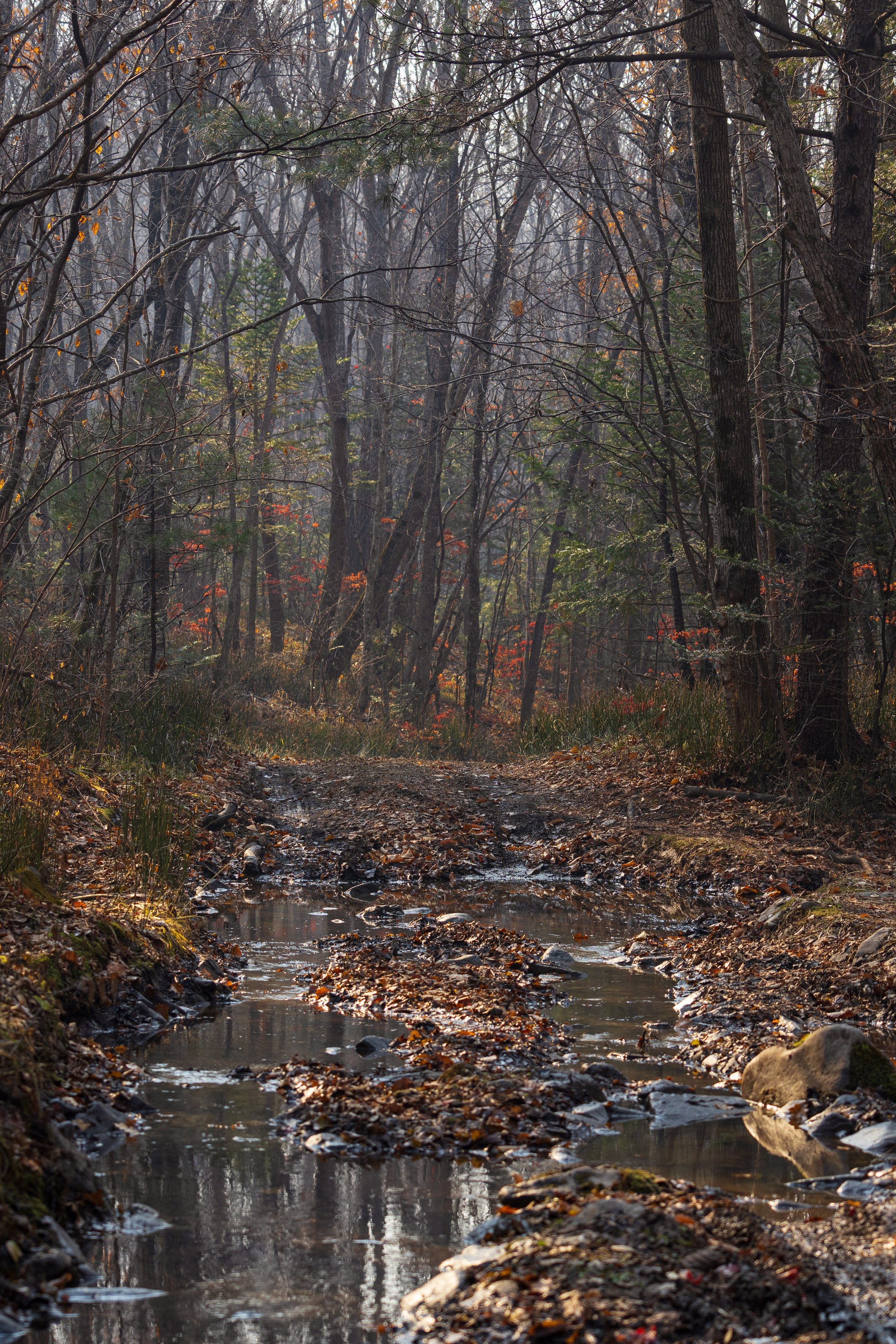 Маруськины слёзы. Константин Кириченко