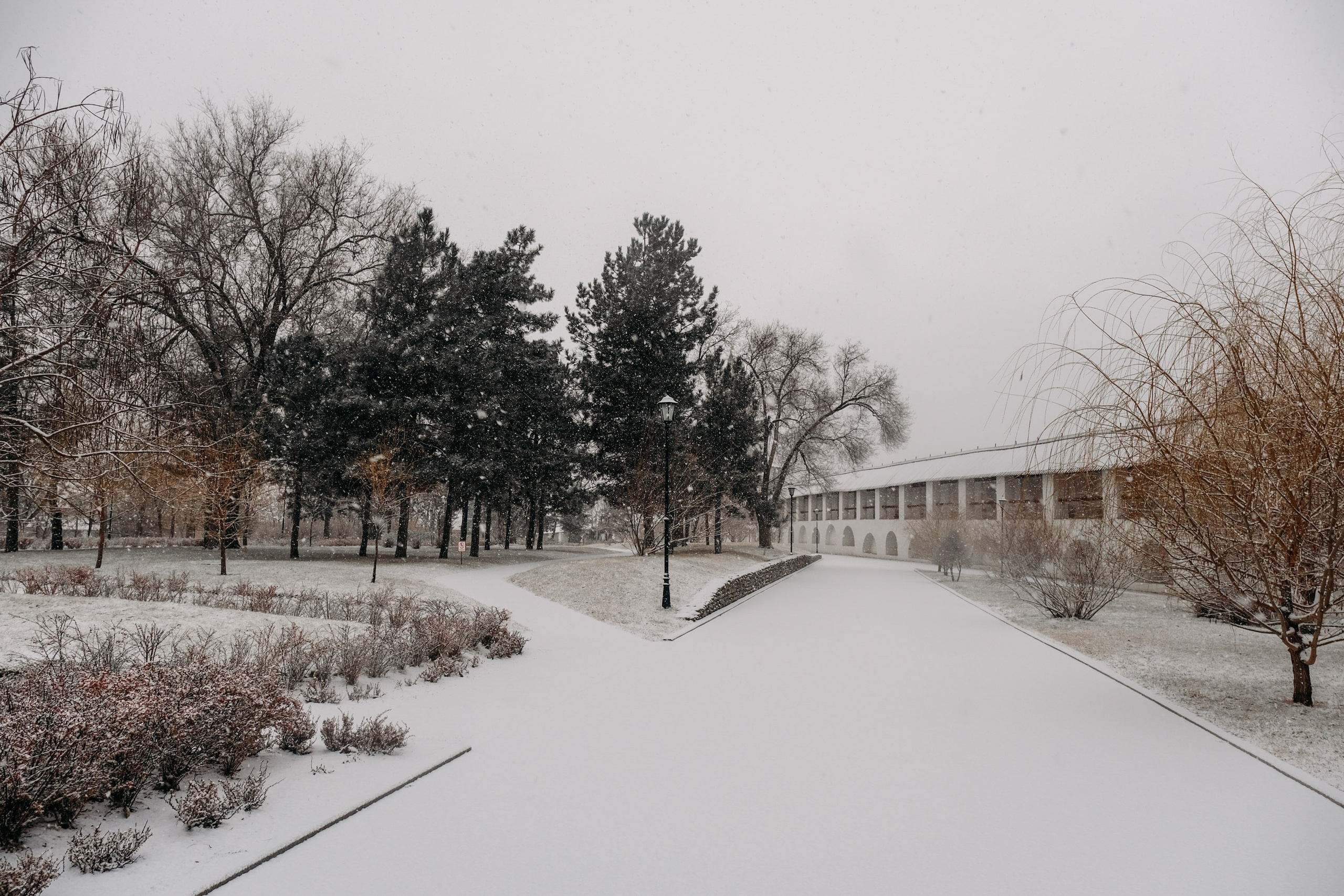 Снегопад. Фотограф Анатолий Деникин