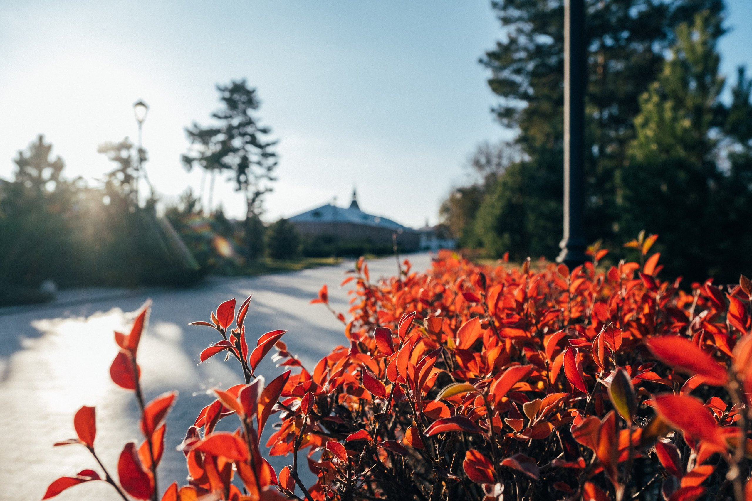 19.11.14. Фотограф Анатолий Деникин