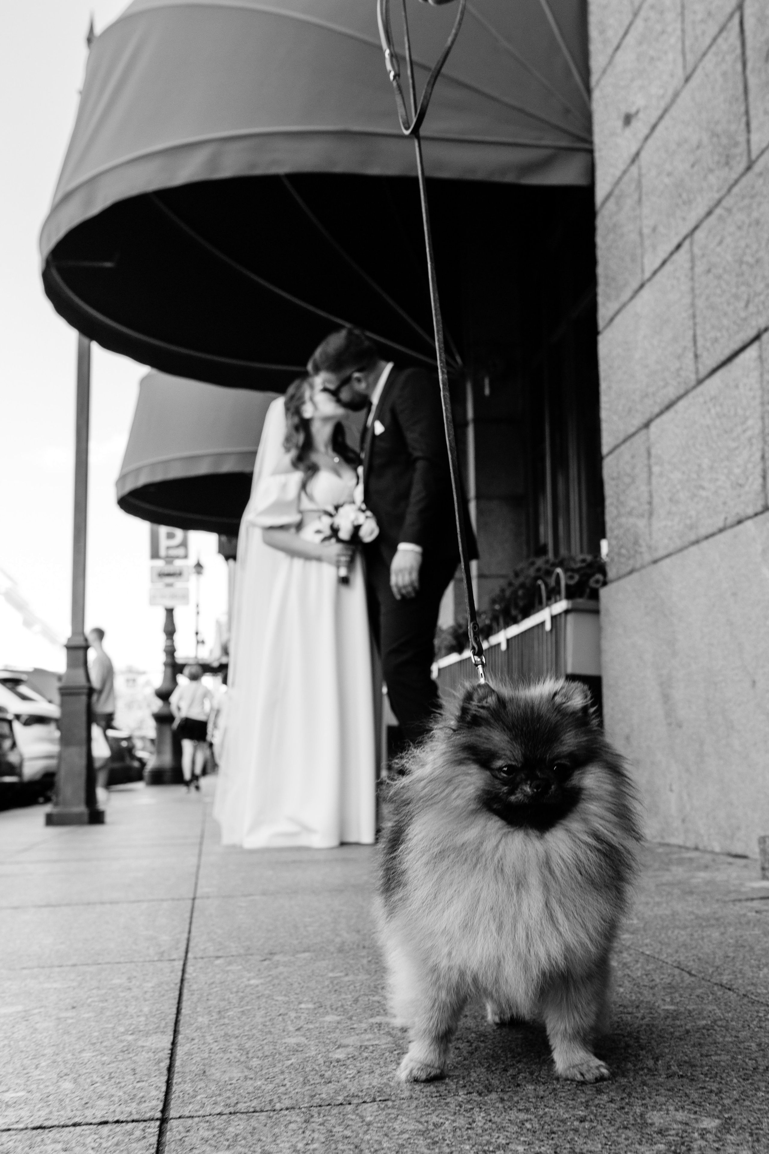 Мое портфолио за 2025 год. Свадебный фотограф СПБ