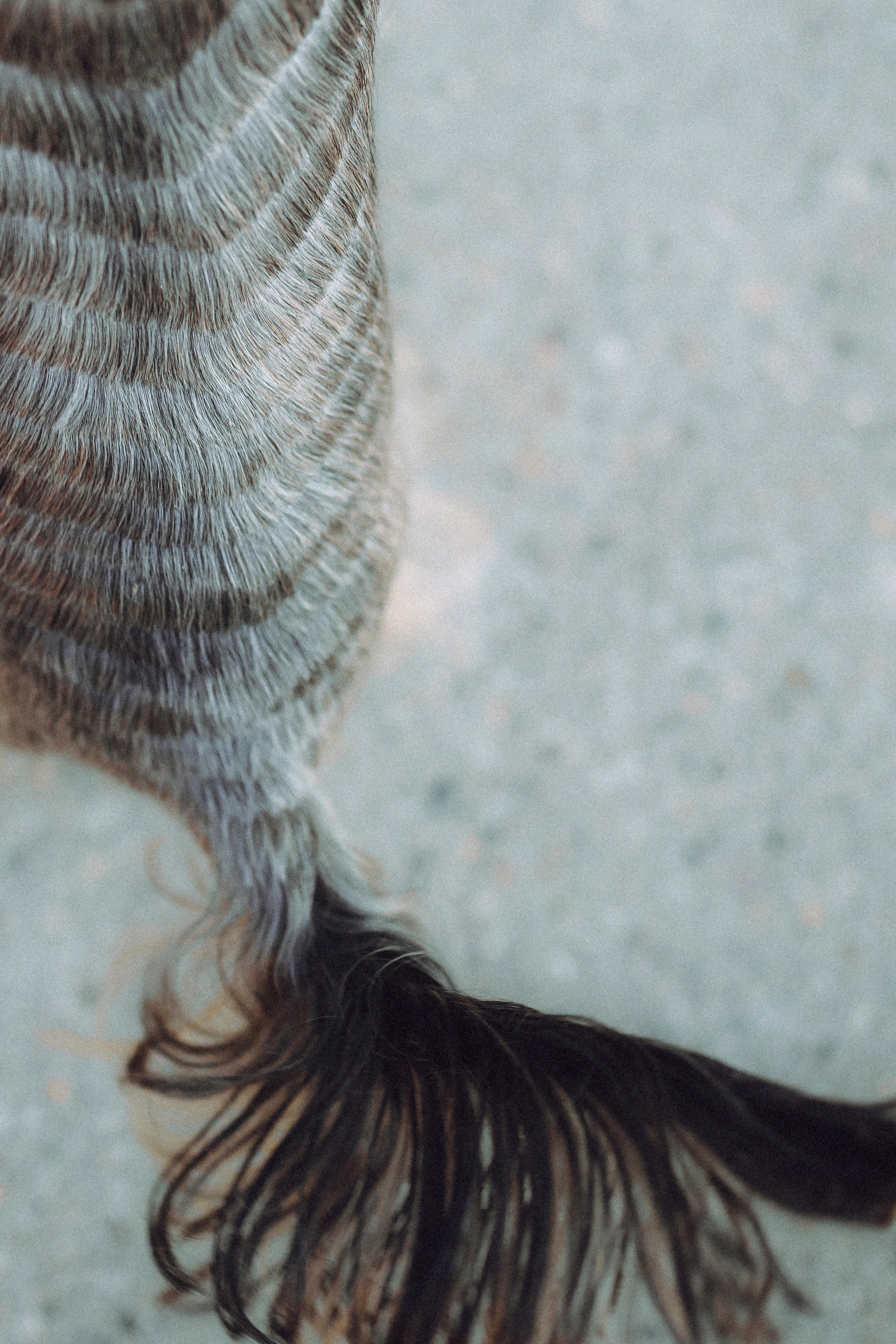 Дженни, Оливия и их семья