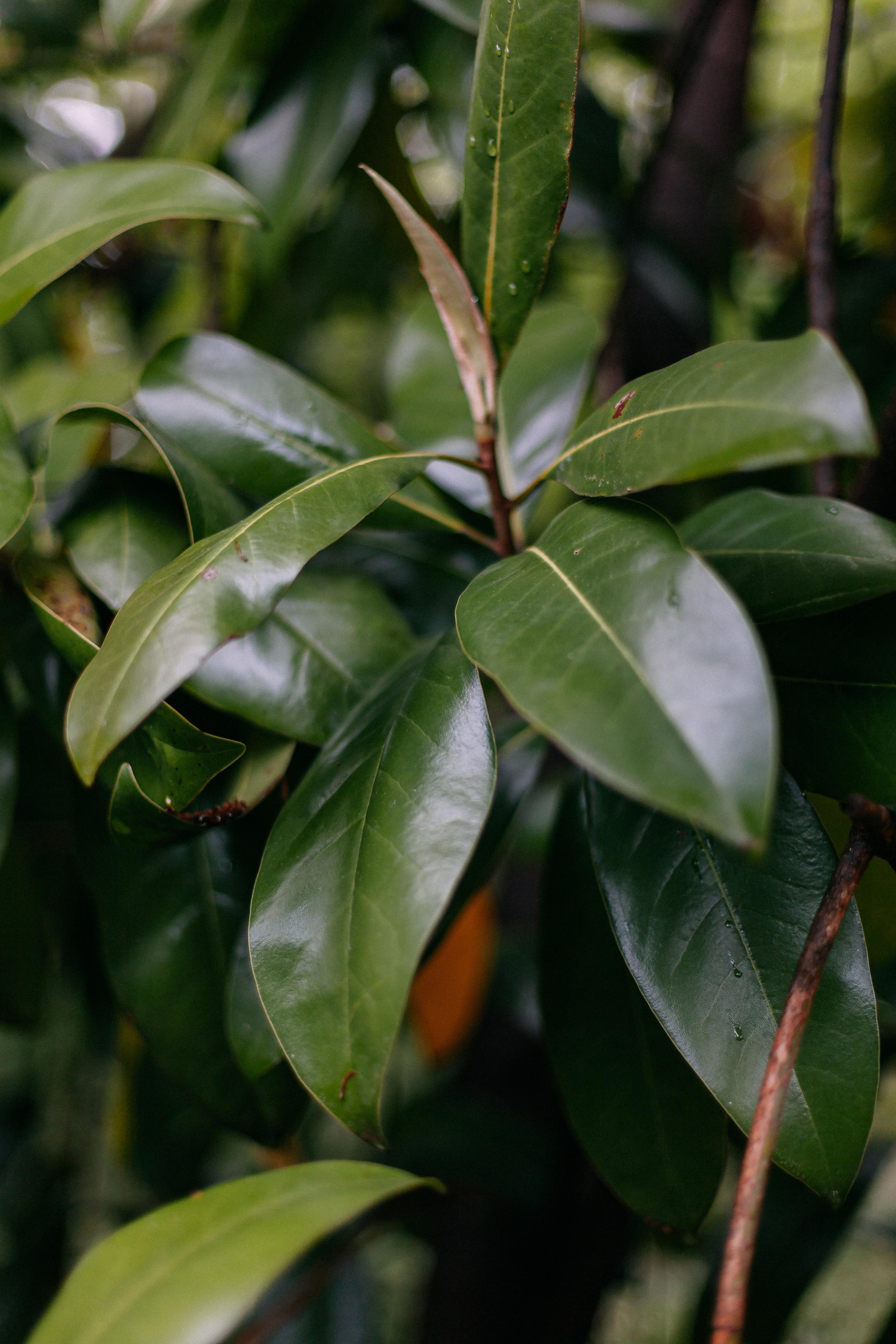 Сочи. Аня Степанова